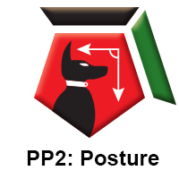 PP2 Posture.jpg