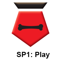 SP1 Play.jpg
