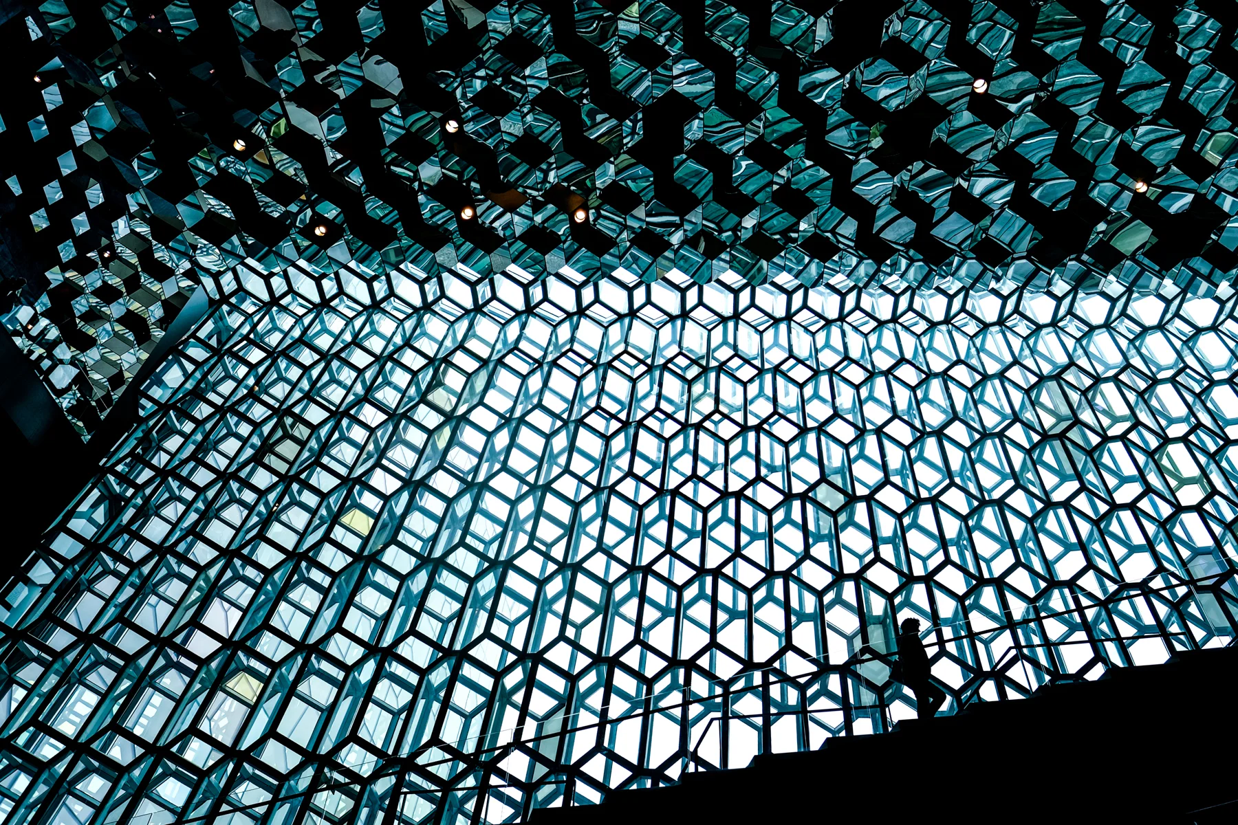 DSCF5466 copy.jpg