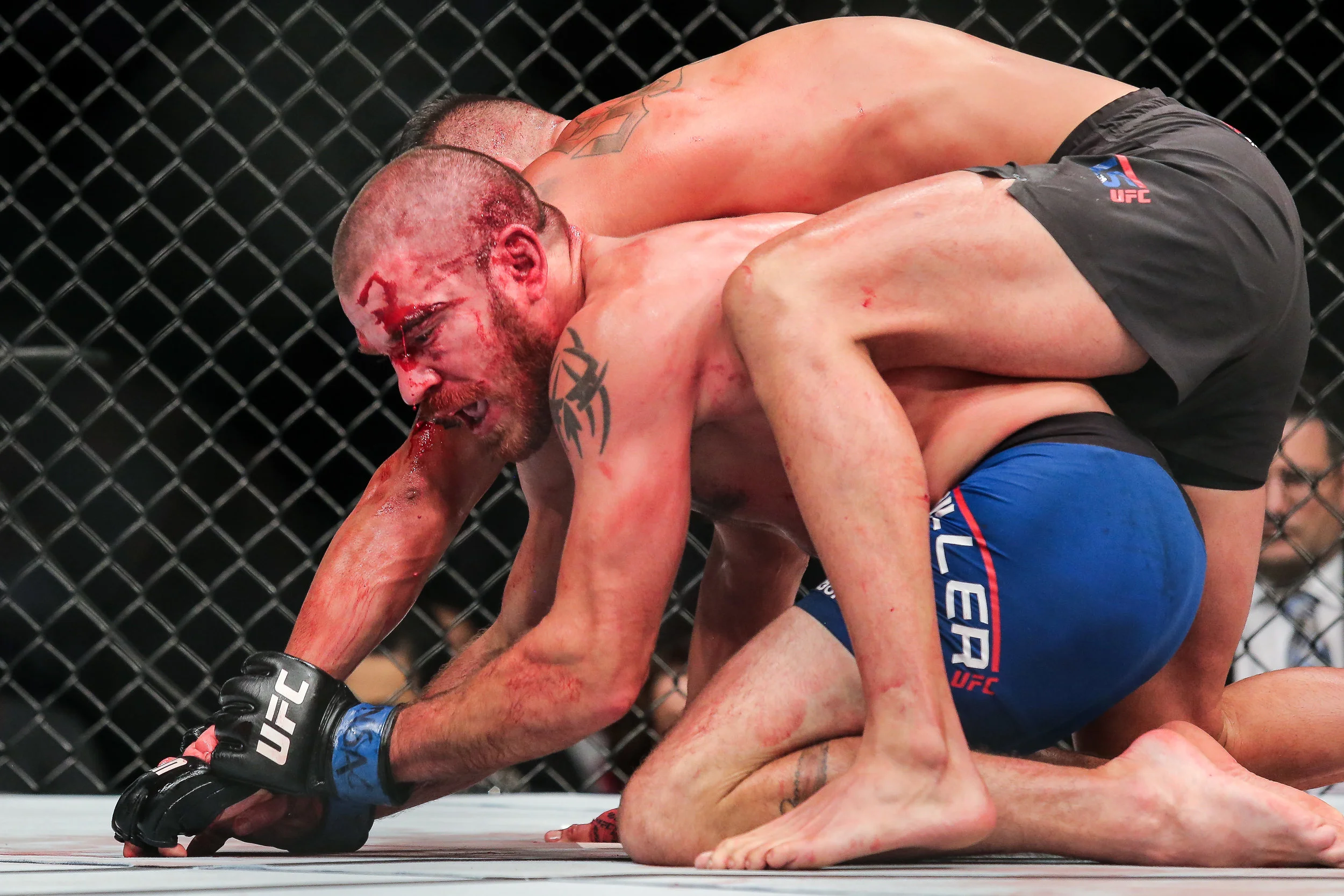 A bloodied Jim Miller dealing with the backpack that is Anthony Pettis at UFC 213.