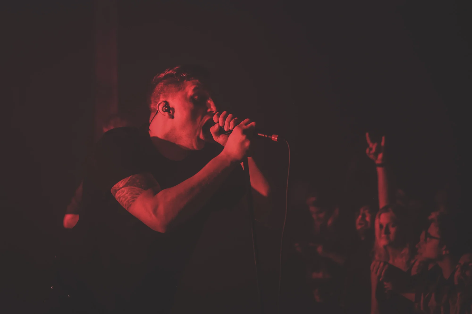 The Contortionist