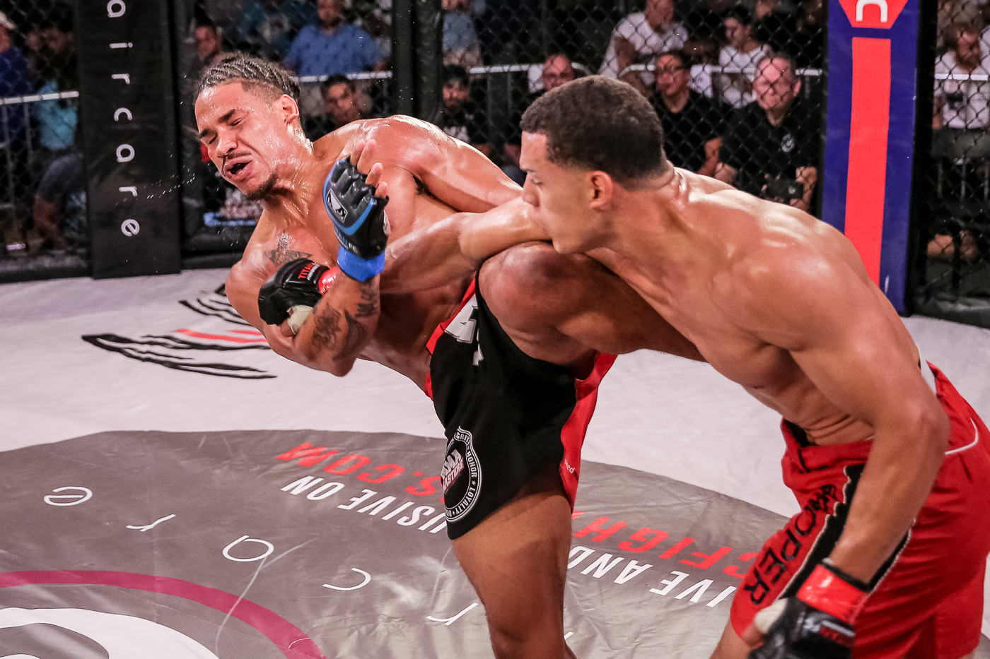 TITAN FC 50 Selects-5.jpg