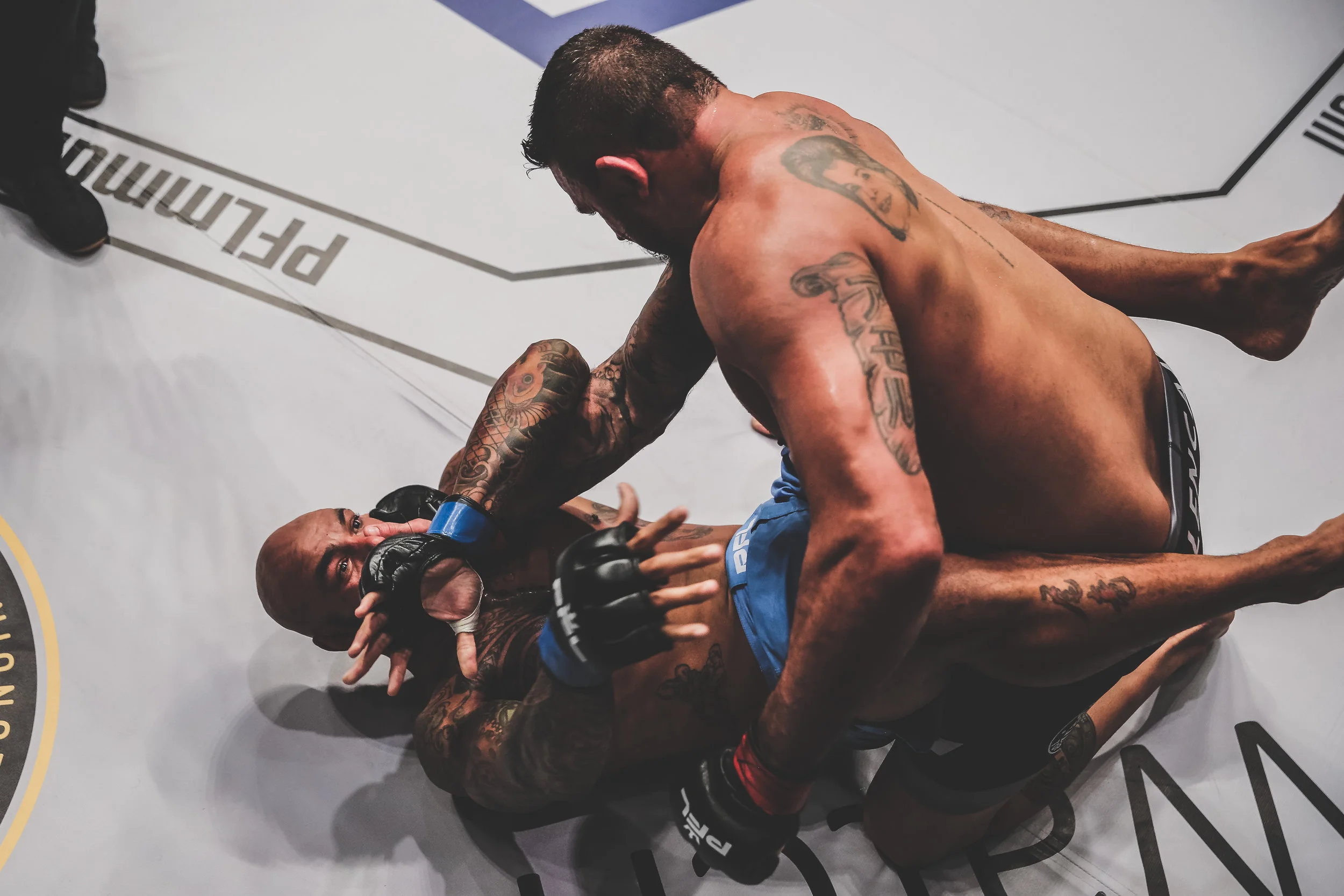 20180830_PFL7 Fight Night-130 copy.jpg