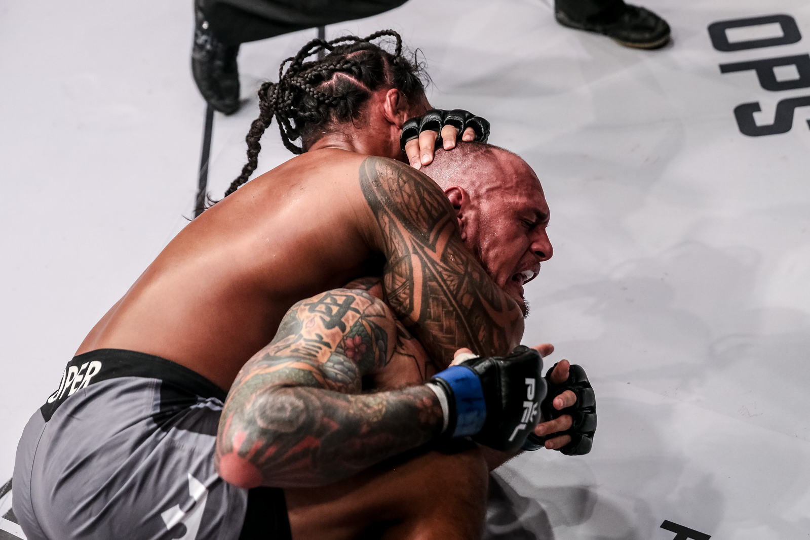 20190309_PFLS2E1FightNight2752.jpg