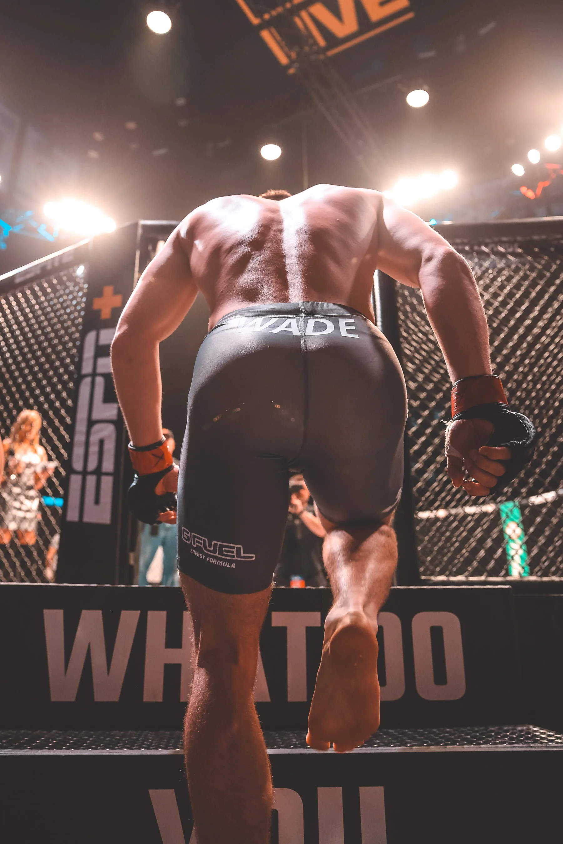20190523_PFL2FN3600.jpg