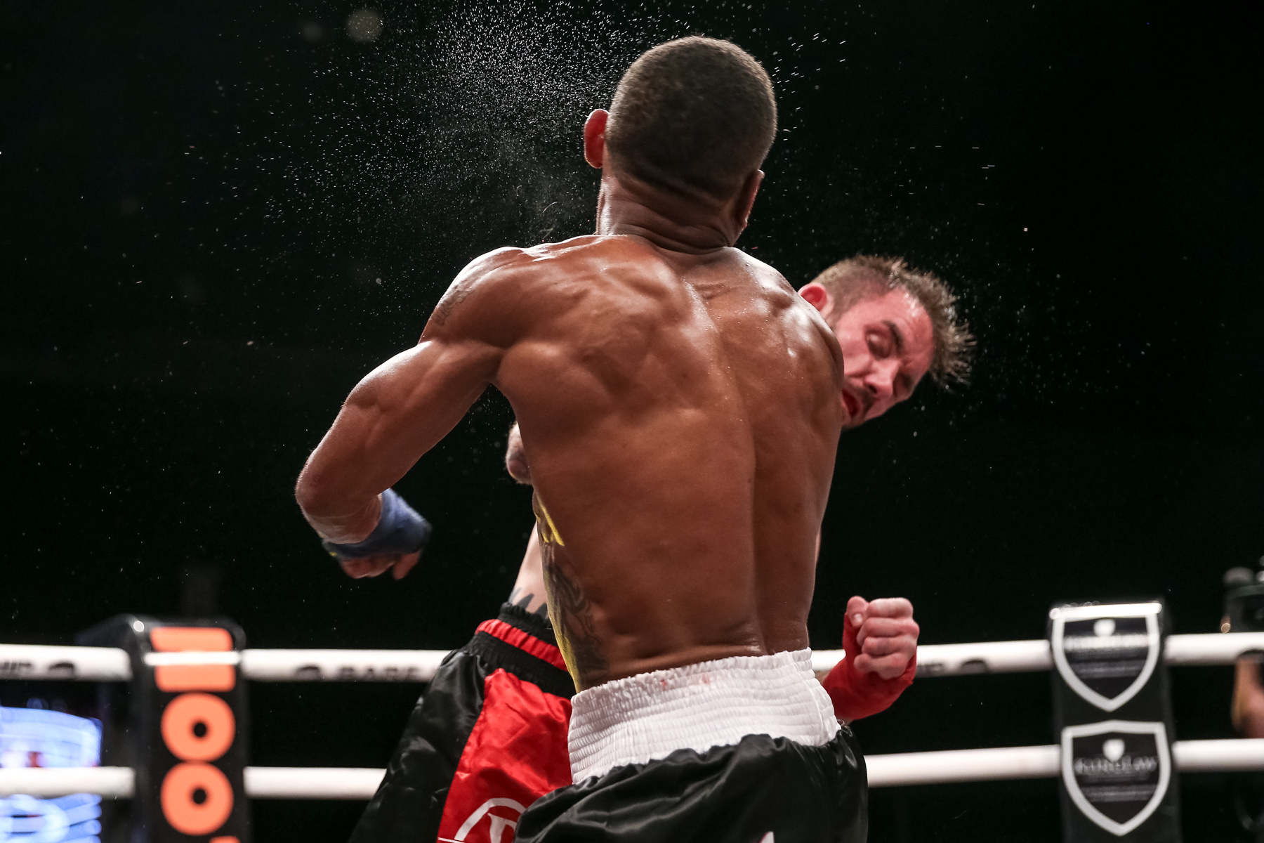 BKFC6Blog-2.jpg