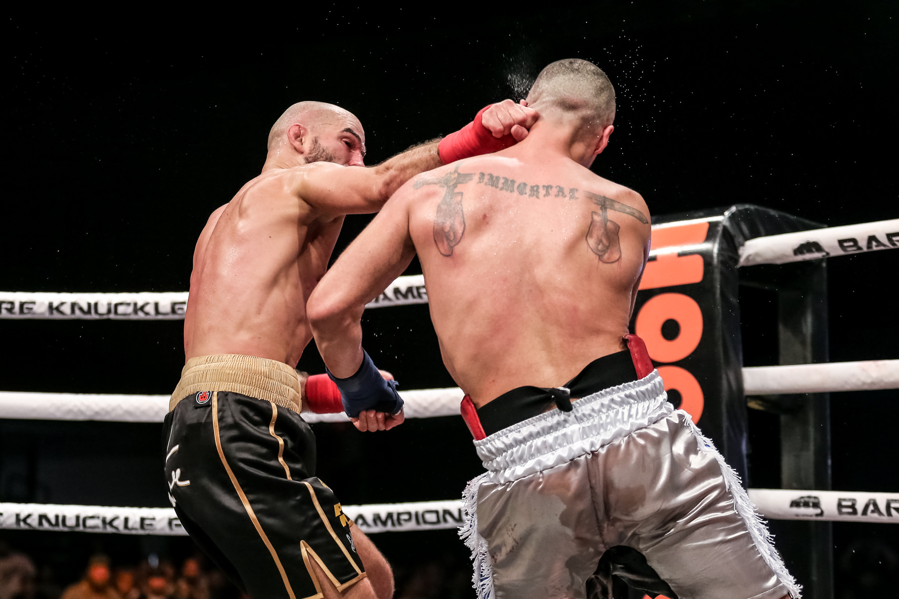 BKFC6Blog-14.jpg