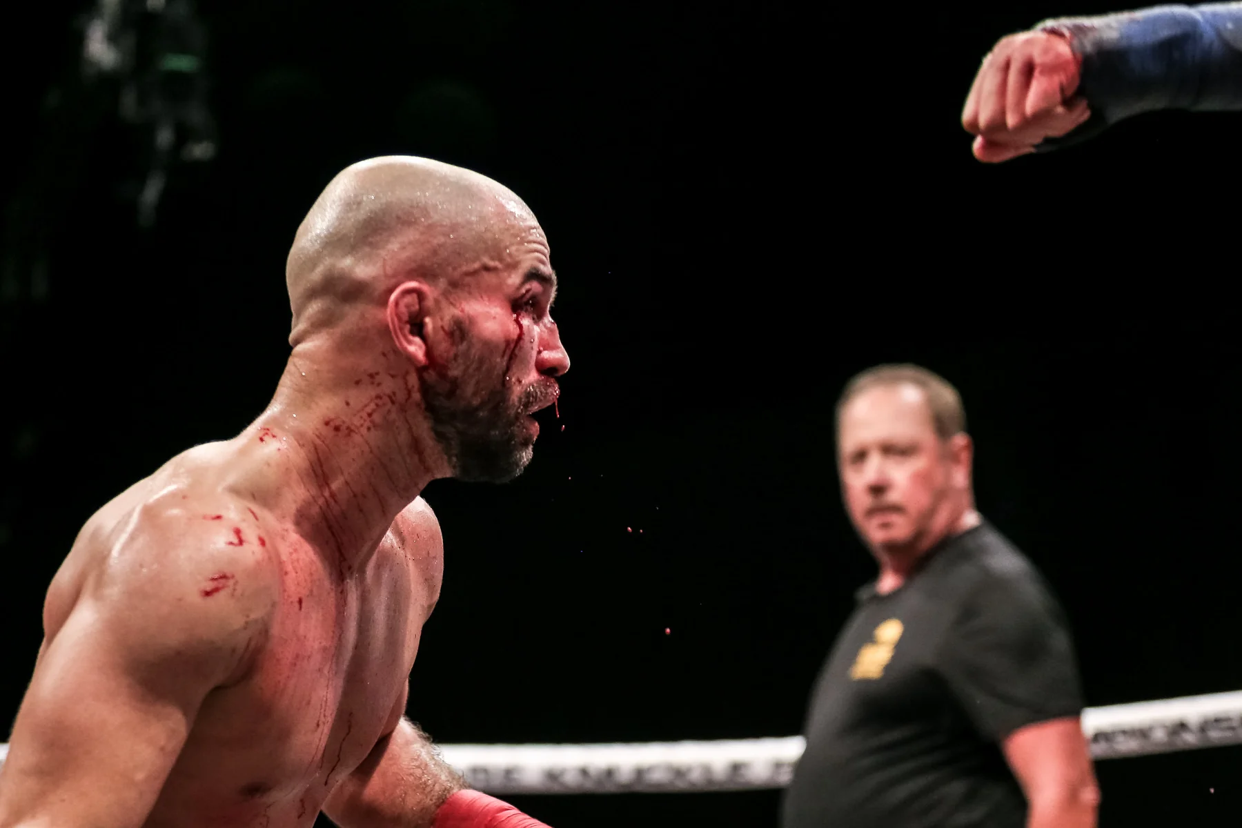 BKFC6Blog-18.jpg