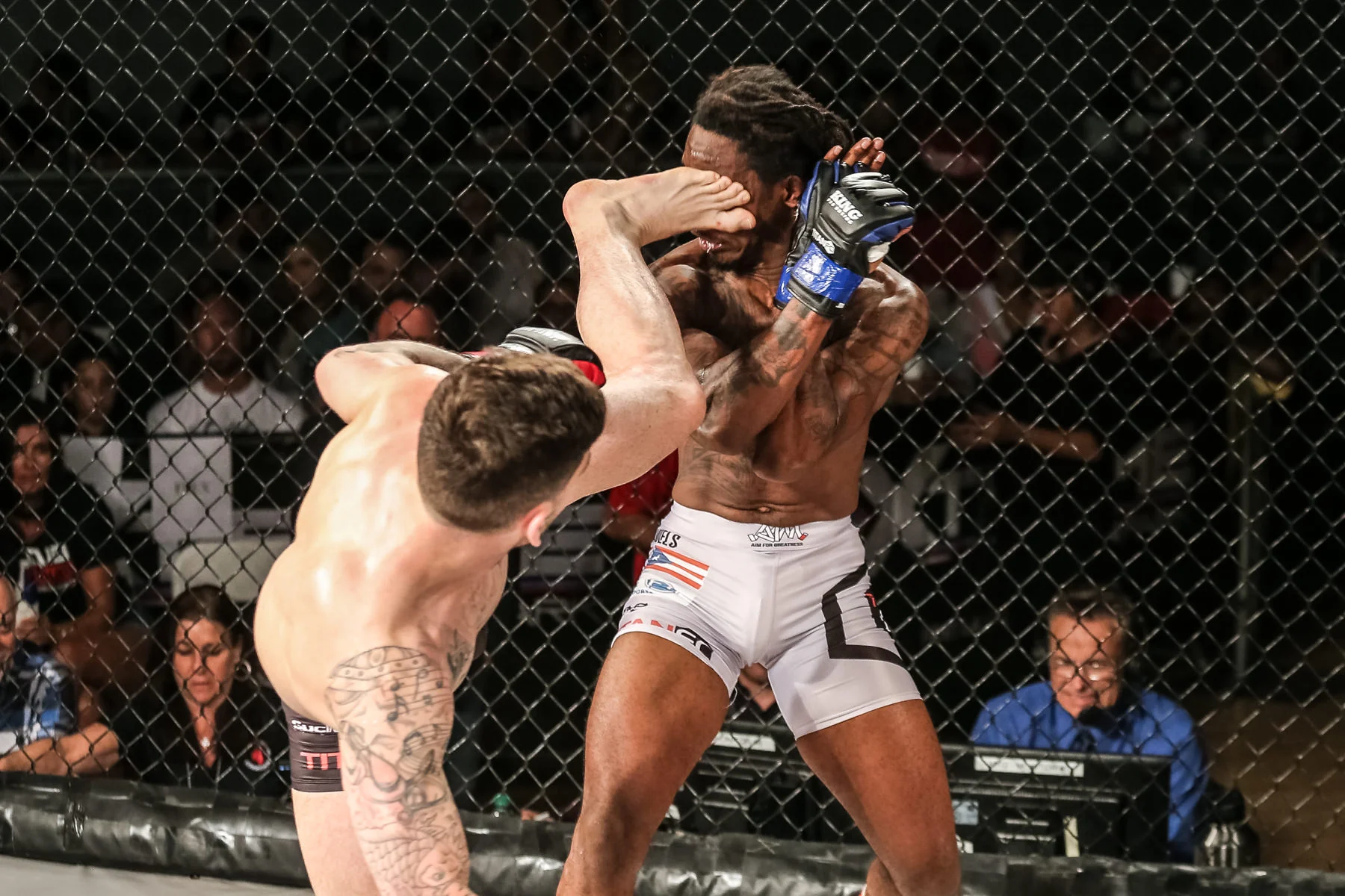 TitanFC55blog-2.jpg