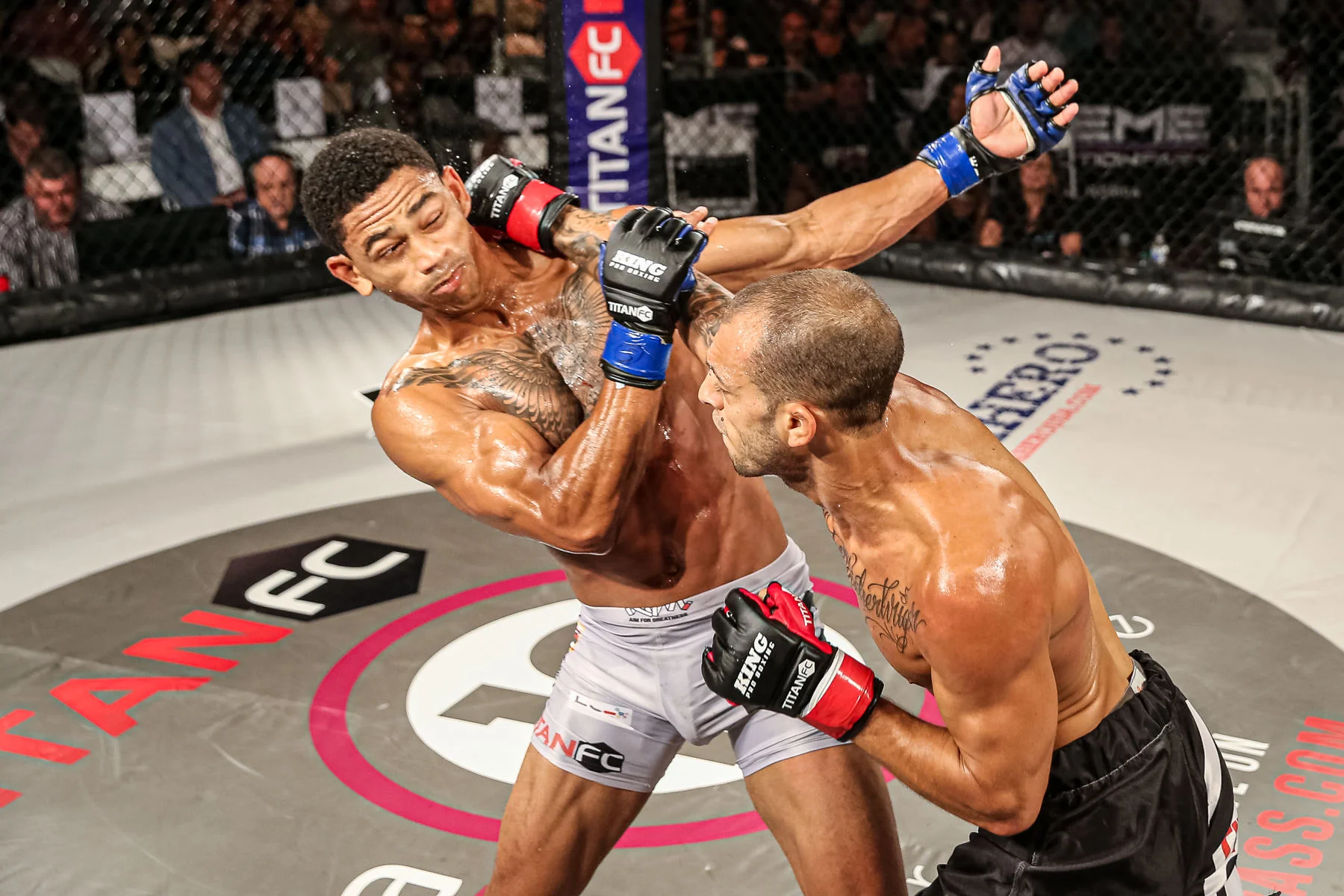 TitanFC55blog-4.jpg