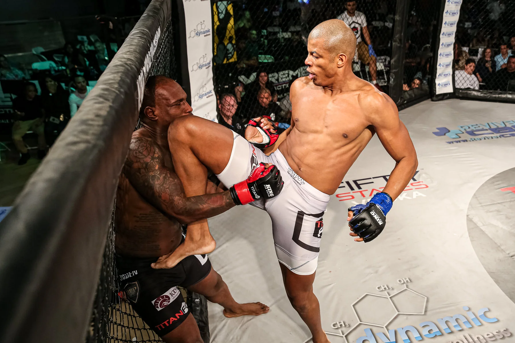 TitanFC55blog-10.jpg