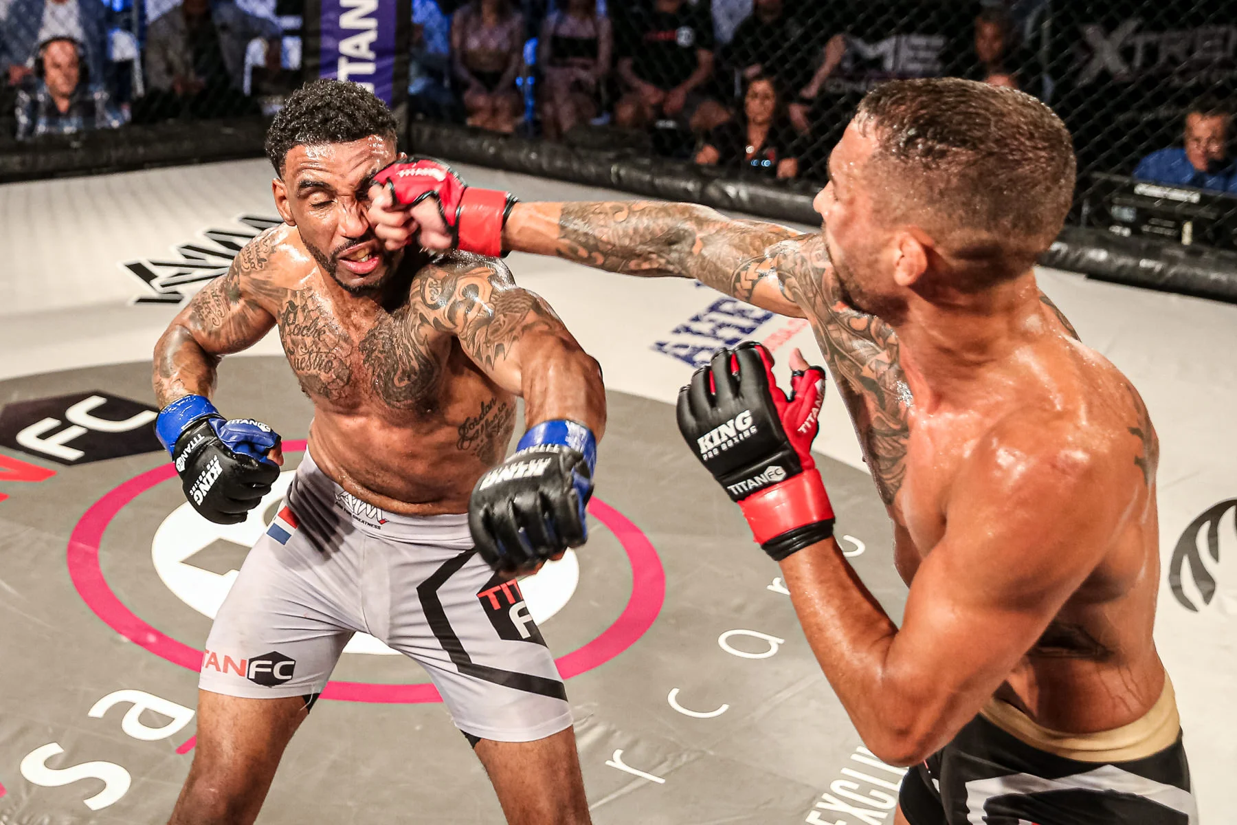TitanFC55blog-17.jpg
