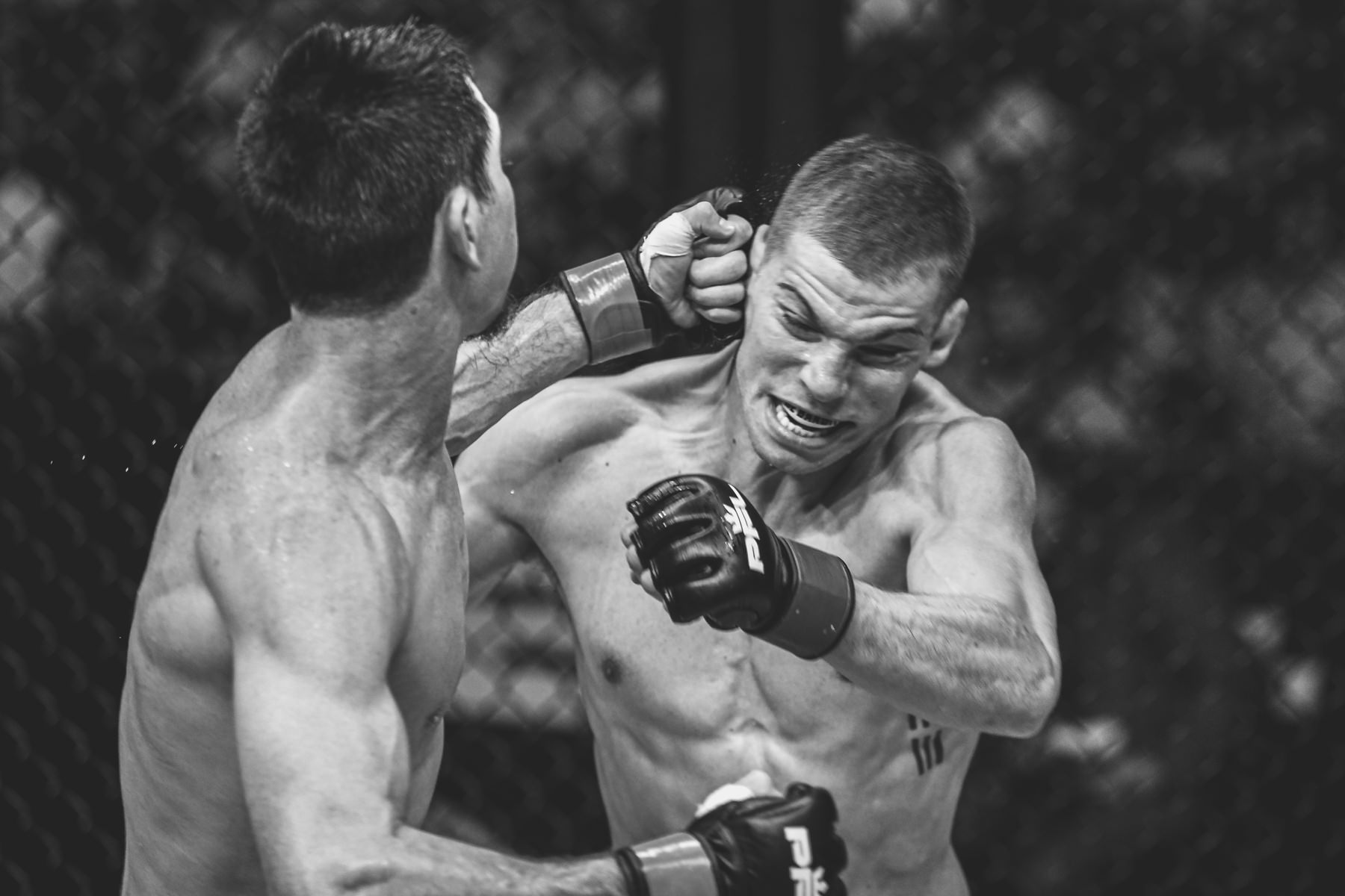 PFL 5 Selects-11.jpg