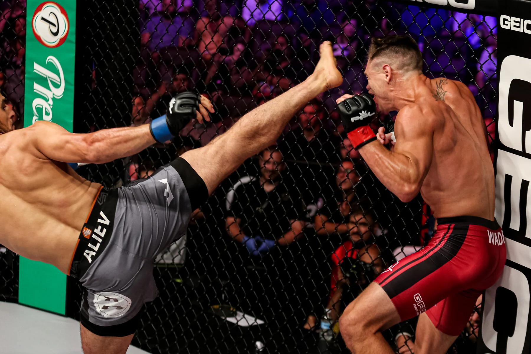 PFL 5 Selects-22.jpg