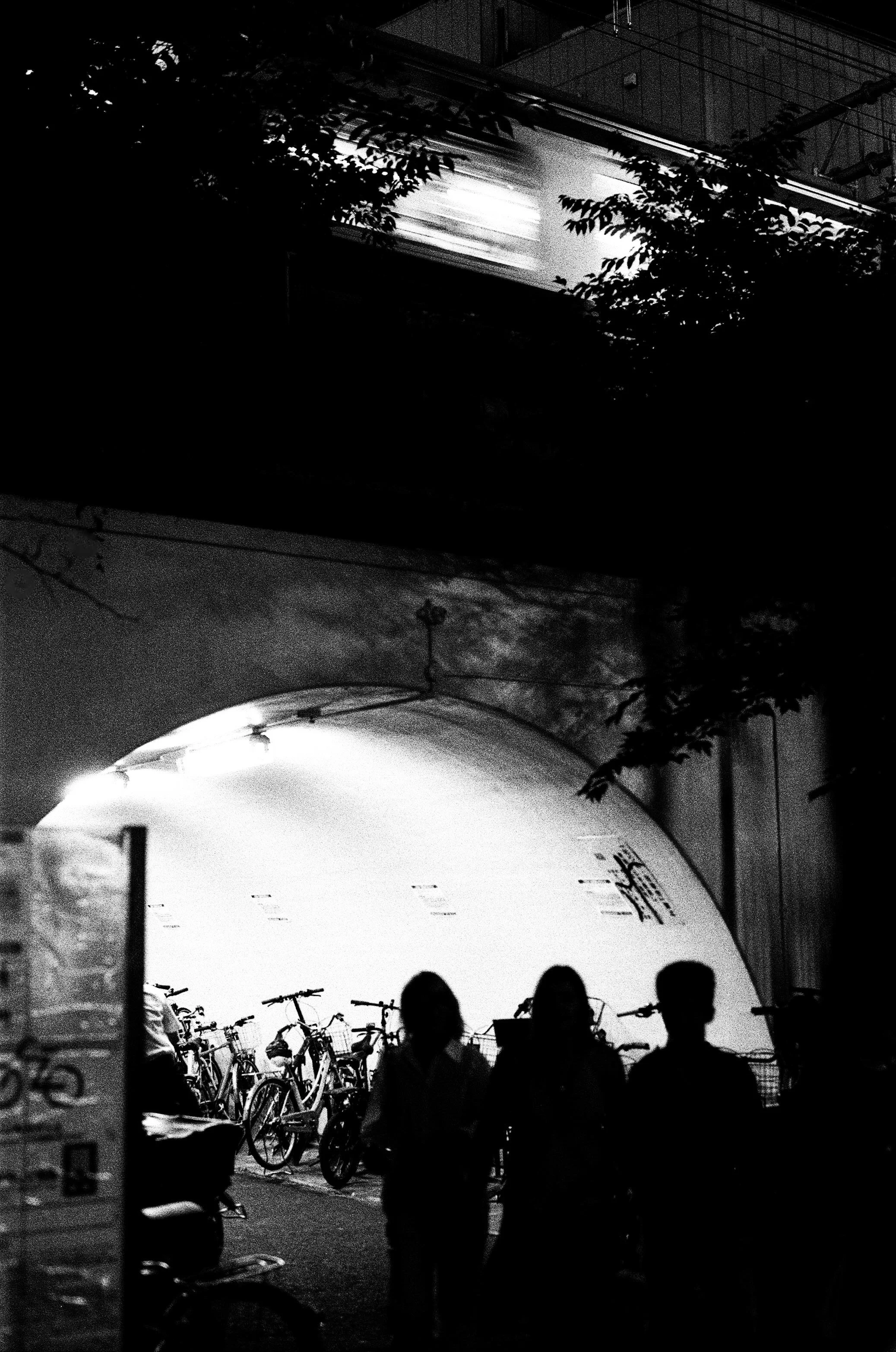 HP5 +2 1-31.jpg