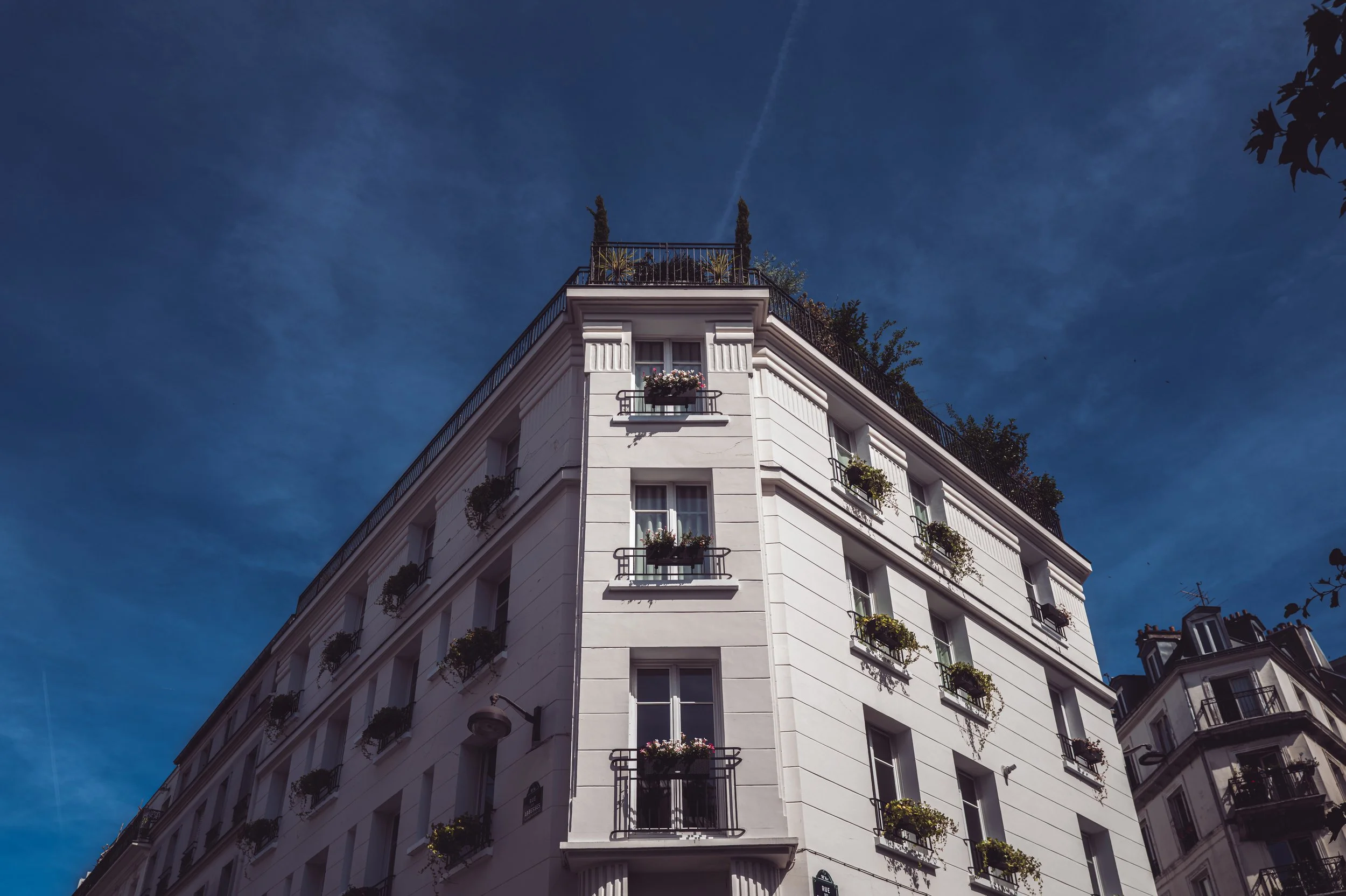 L1000151.jpg
