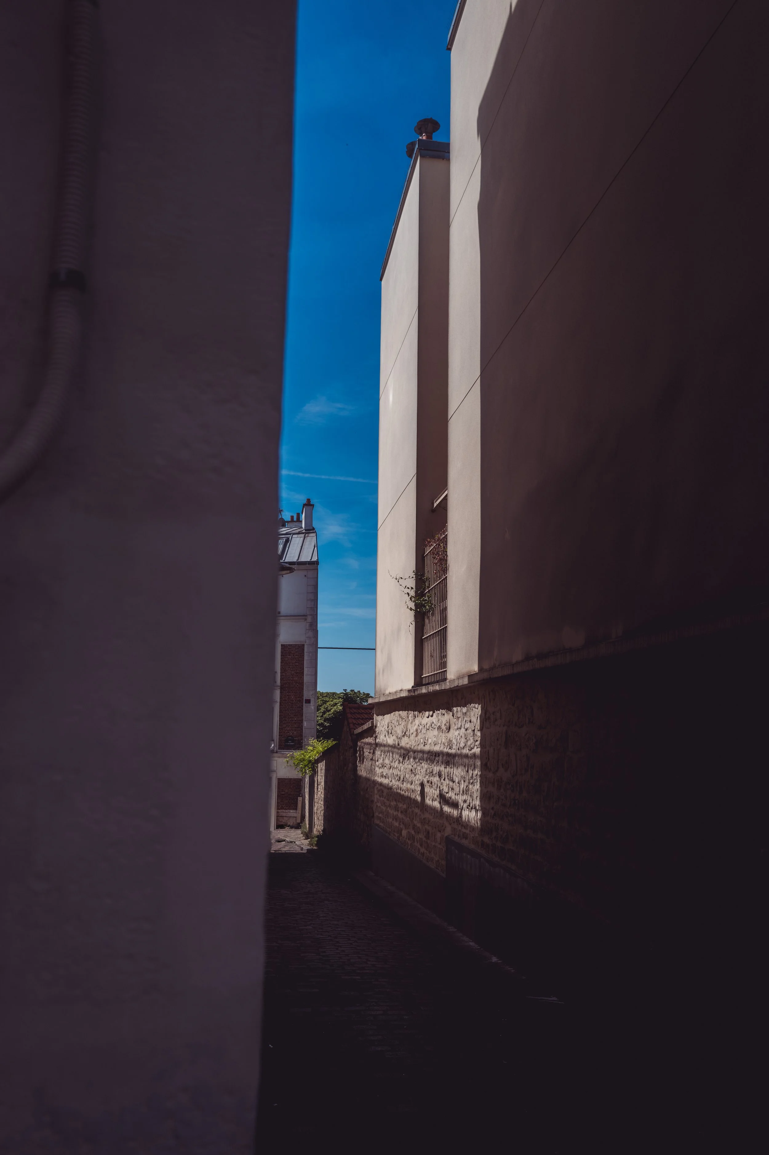 L1000172.jpg