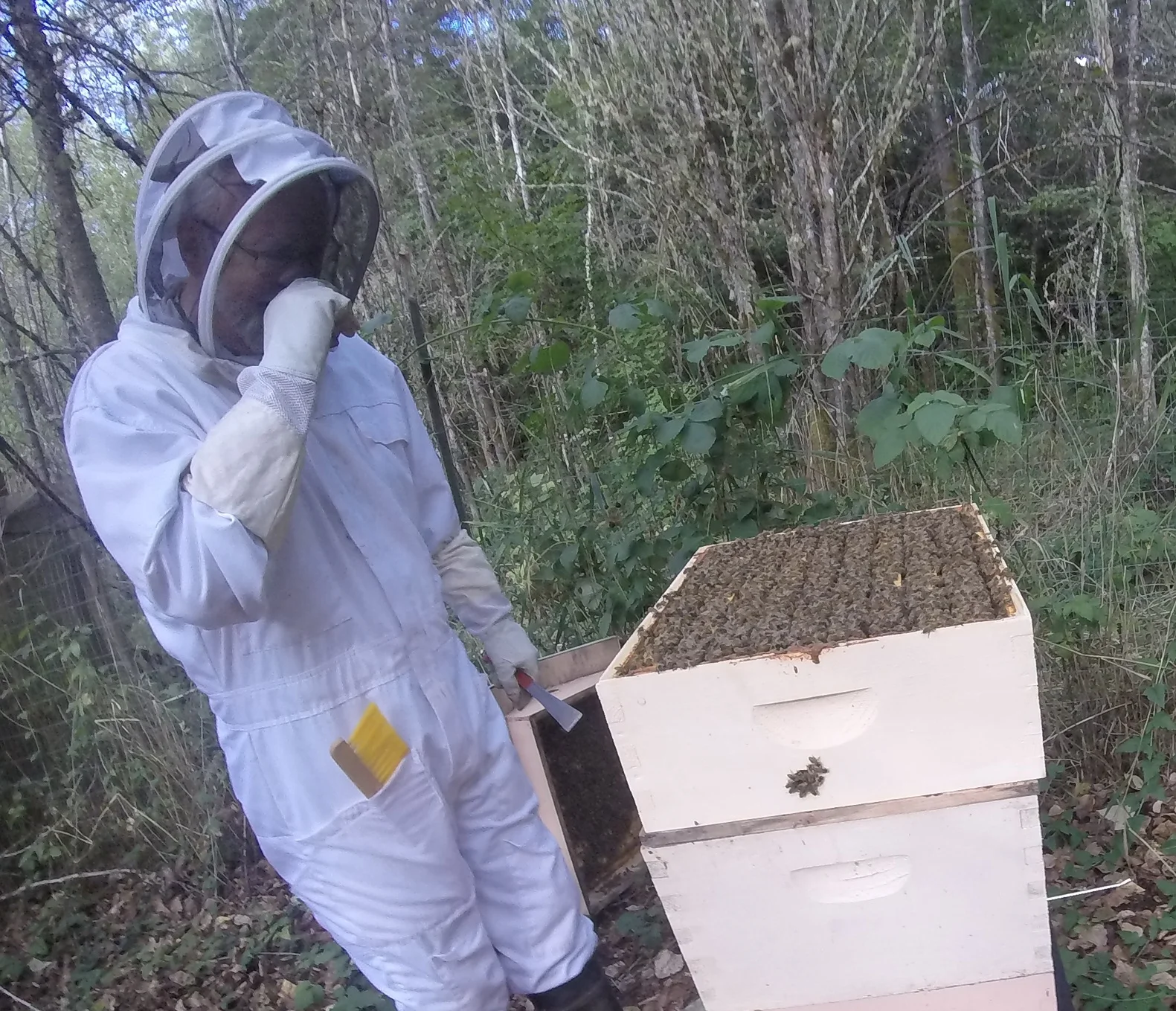 Kyle Pratt ready to harvest from one of his hives.