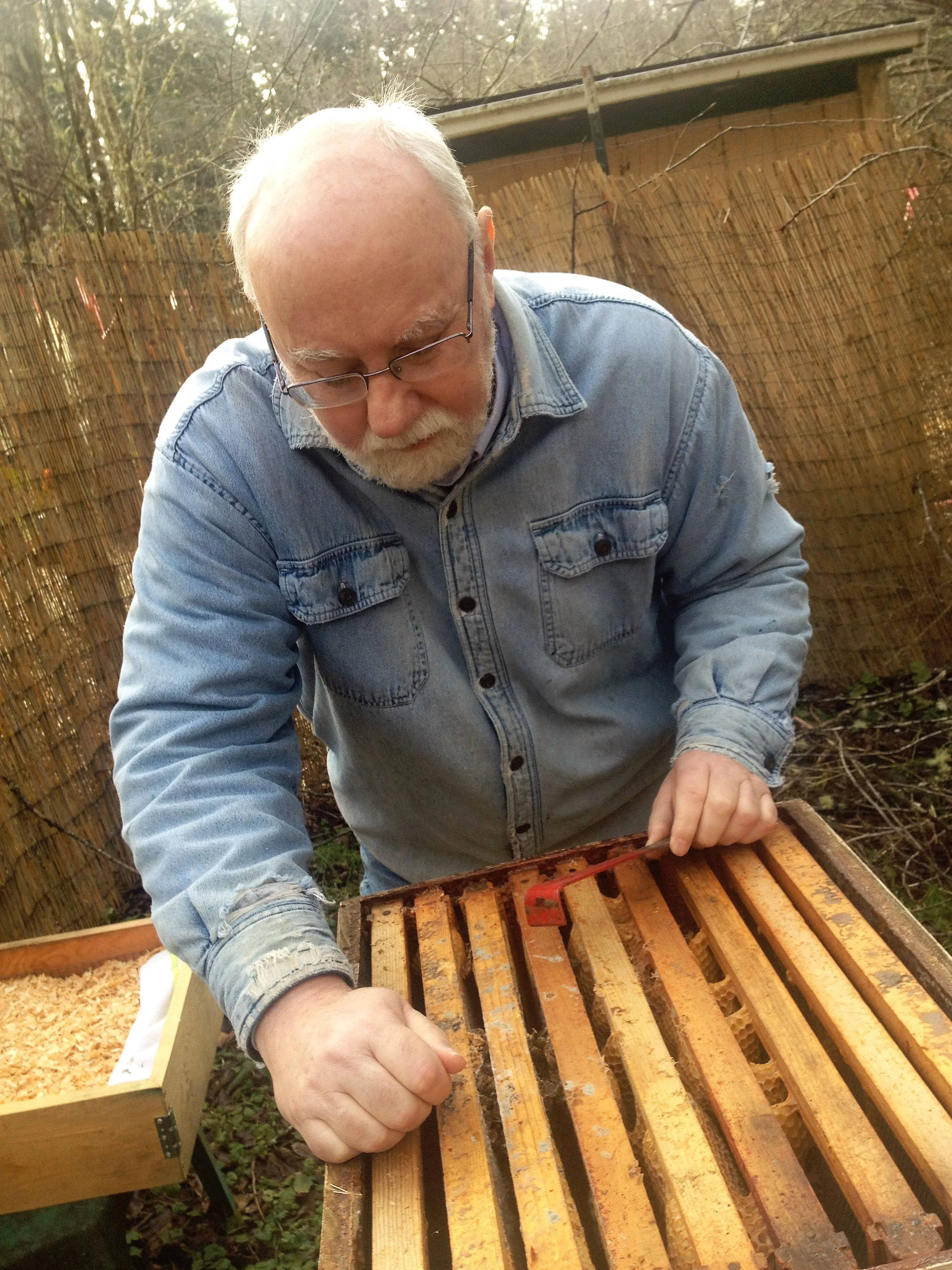 Author Kyle Pratt checks a hive