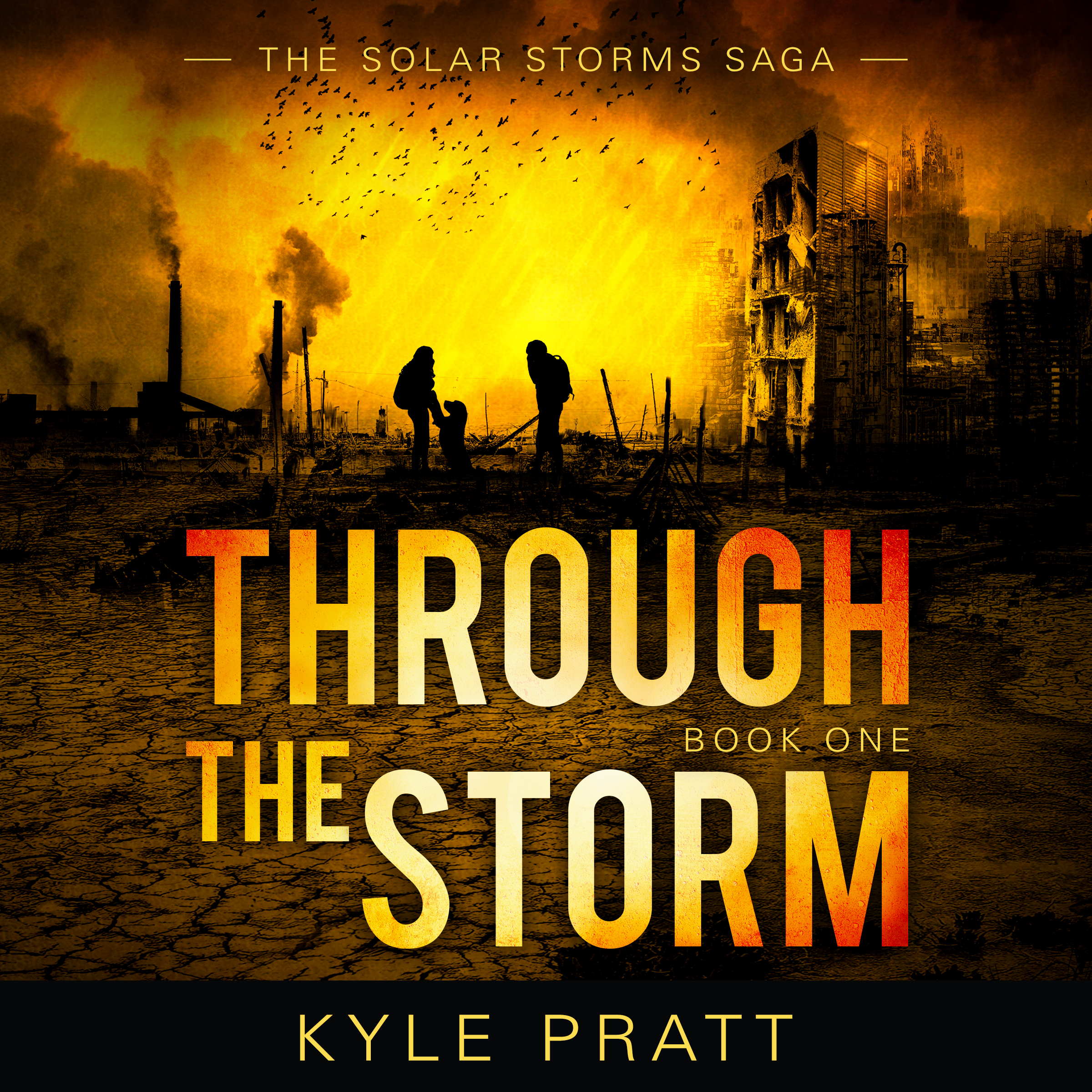Through the Storm audiobook.jpg