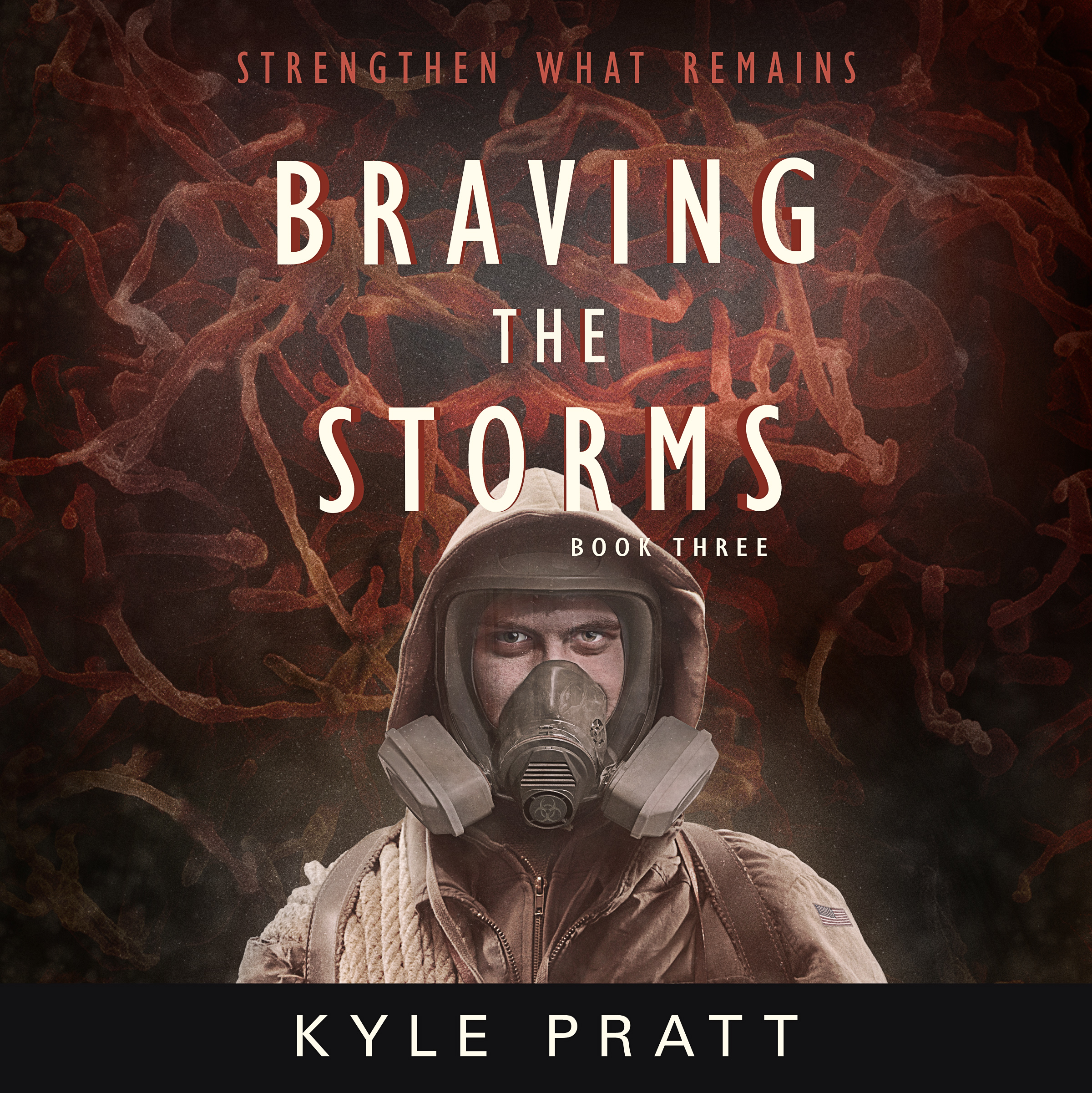 Braving the Storms - AUDIOBOOK.jpg