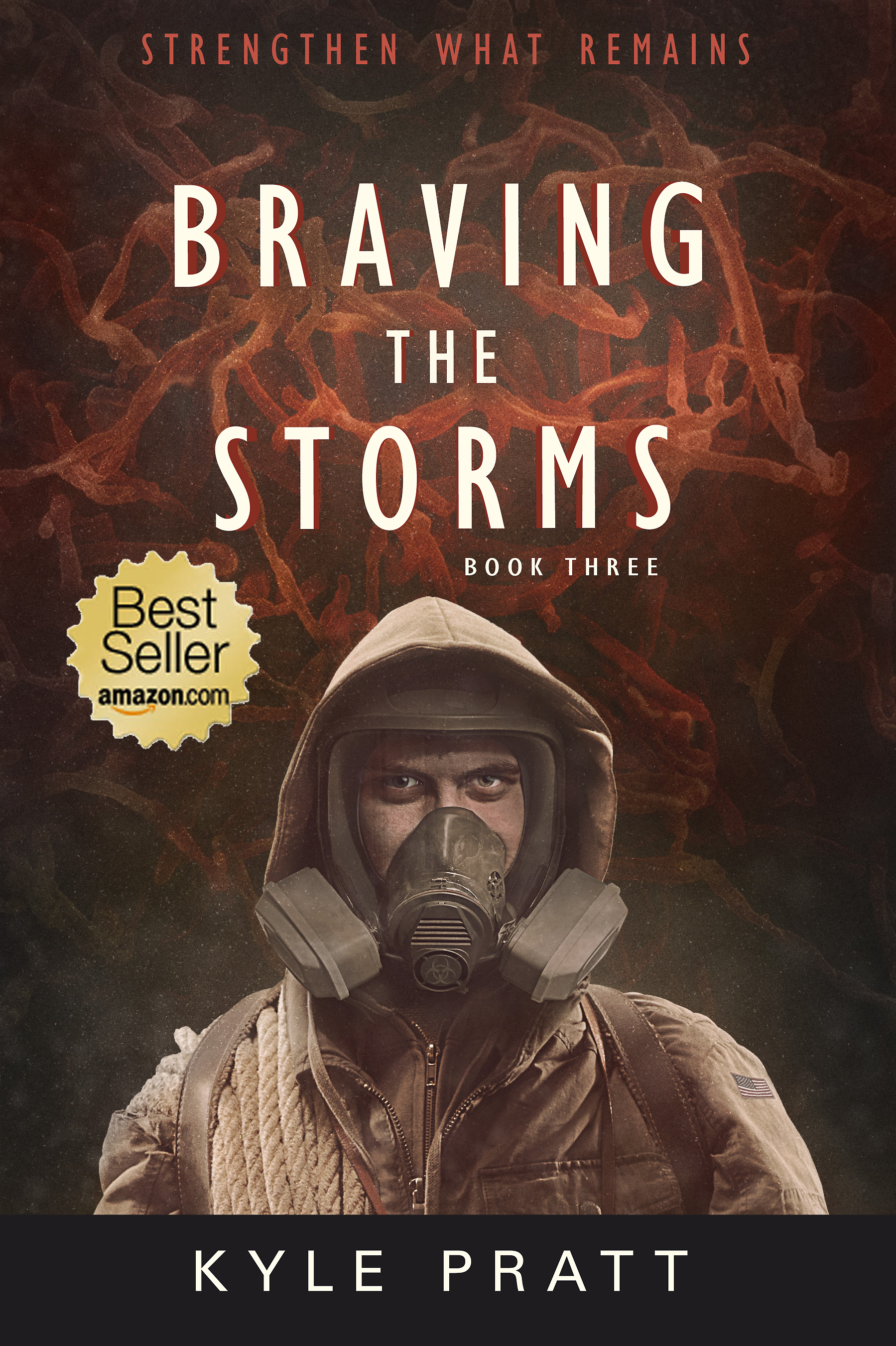 Braving the Storms The third full-length novel in the Strengthen What Remains series. Amazon bestseller A swift and deadly flu epidemic sweeps out of overcrowded FEMA camps and strikes the nation with horrific results. Caden Westmore struggles to keep his family and community safe, while others use the plague to advance their own military and political agendas. Caden must succeed, but how can he, when both the epidemic and chaos attack his hometown and family?