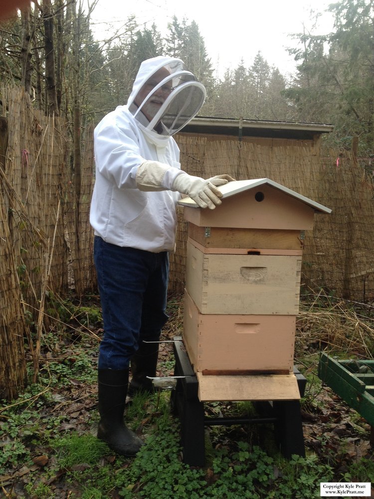 Surviving the Winter