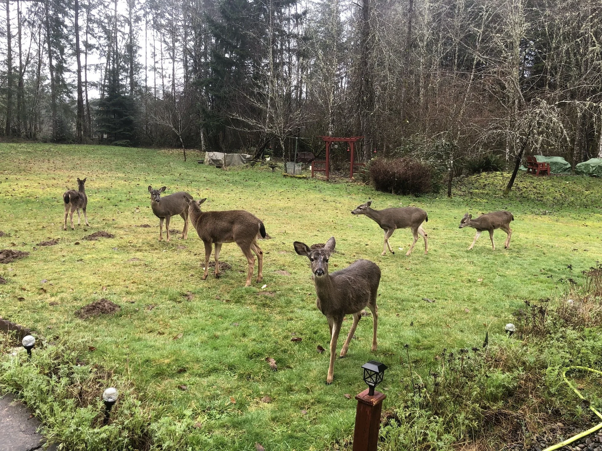 The View from my Doorstep