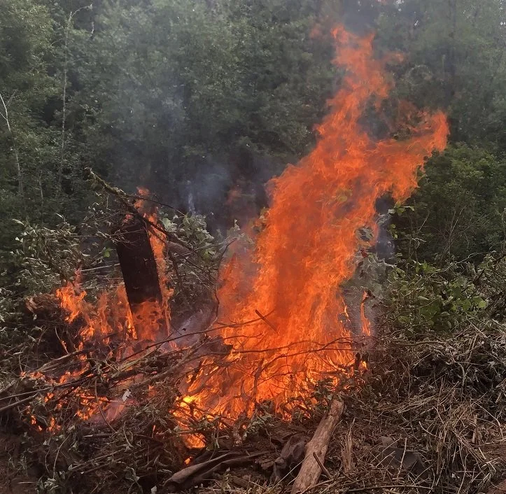 A Day on the Hobby Farm