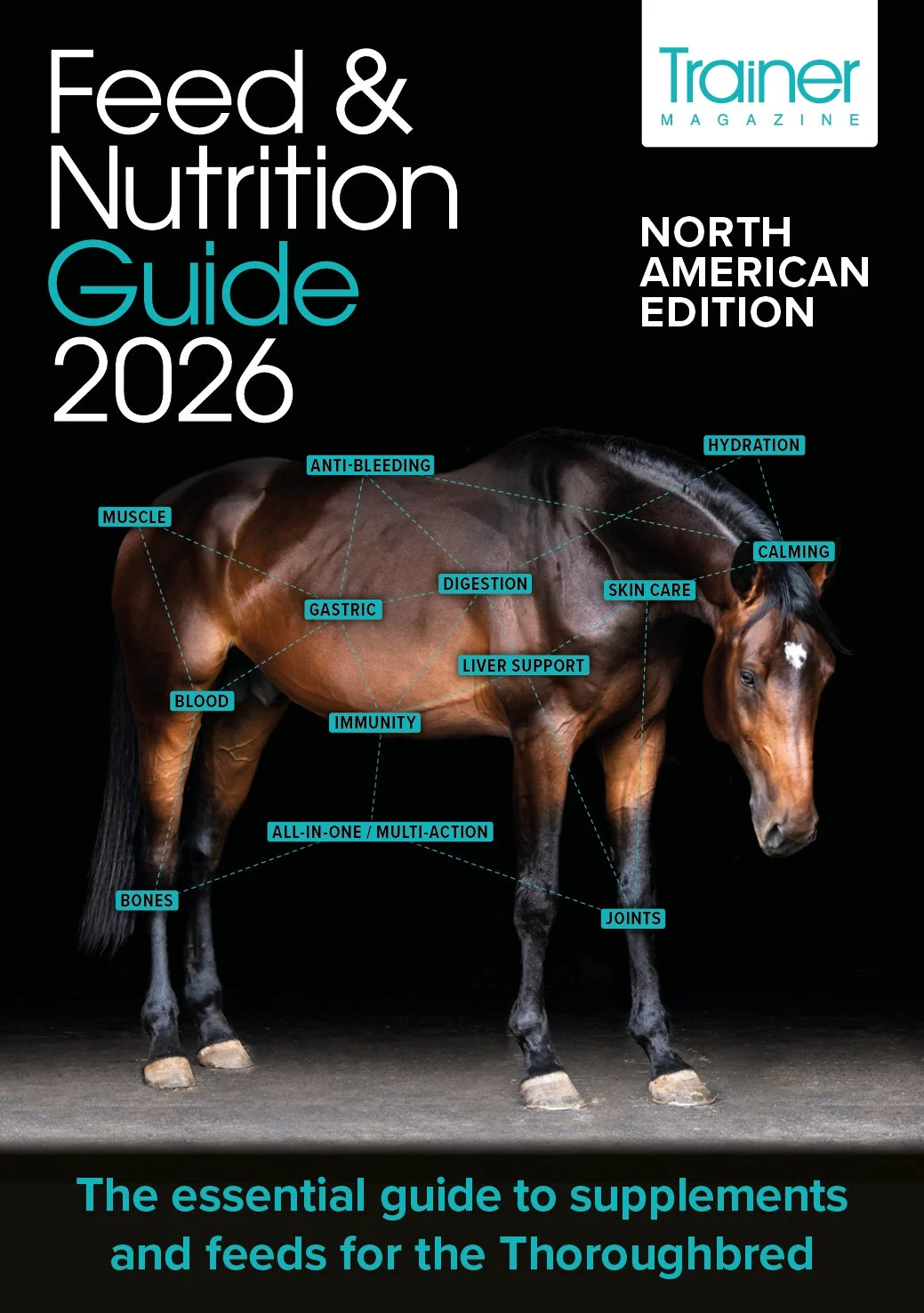 USA 2026_F&N (1).jpg