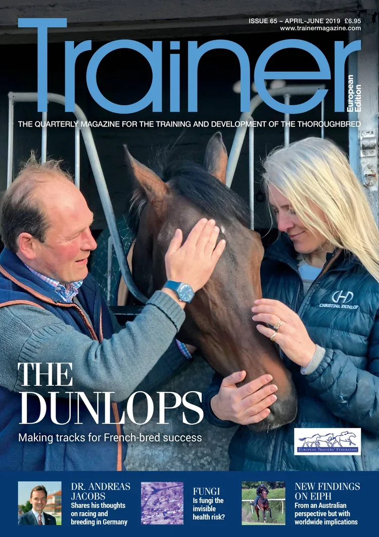 April - June 2019, issue 65 (DIGITAL)