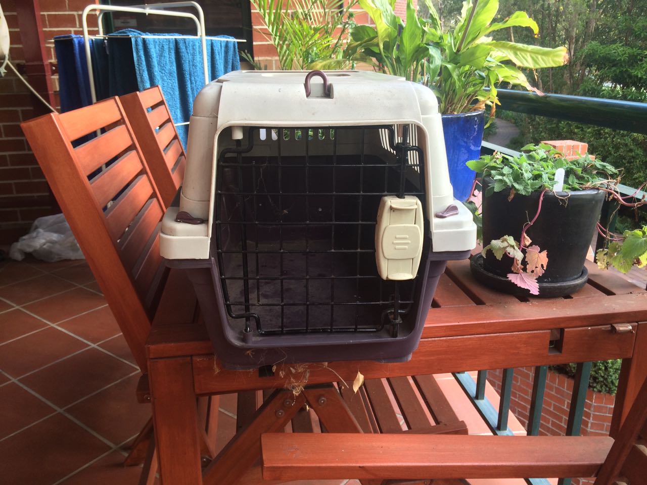 Pet carrier 2.jpg