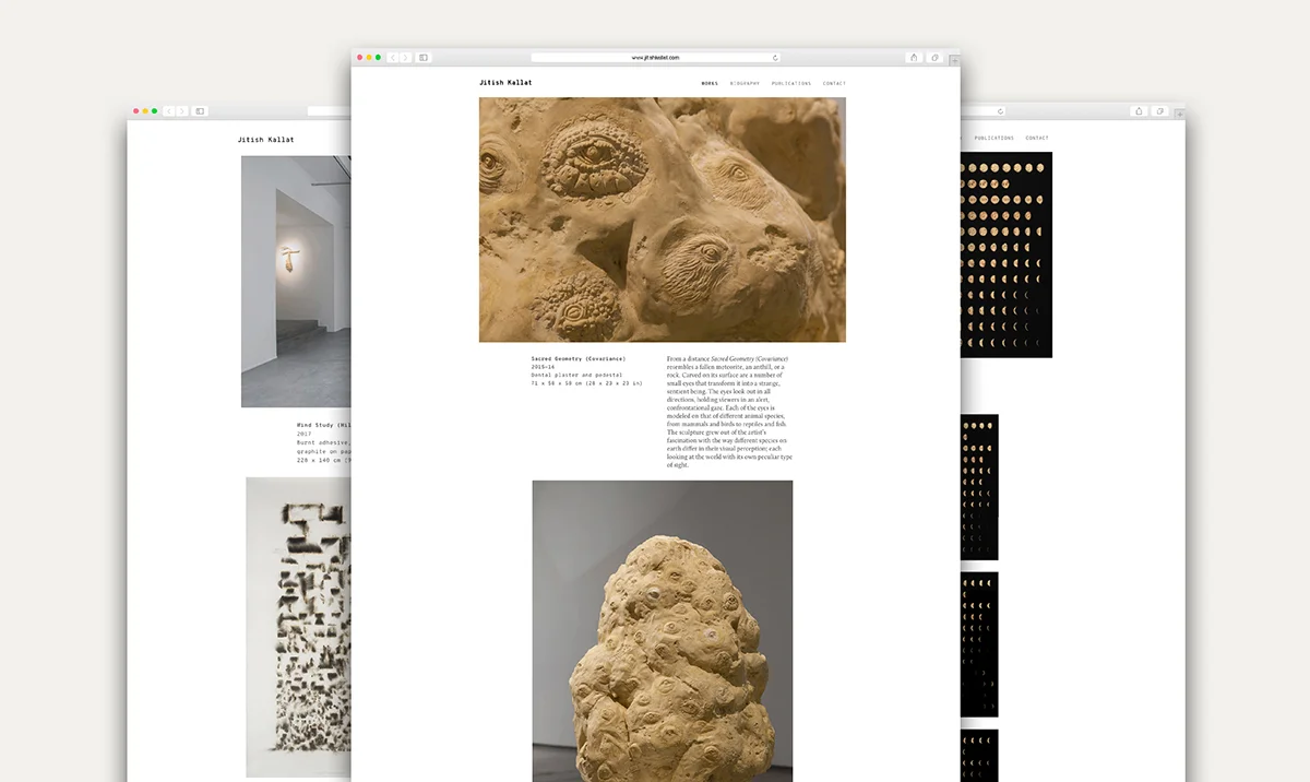 Jitish Kallat Website-Screenshots.jpg
