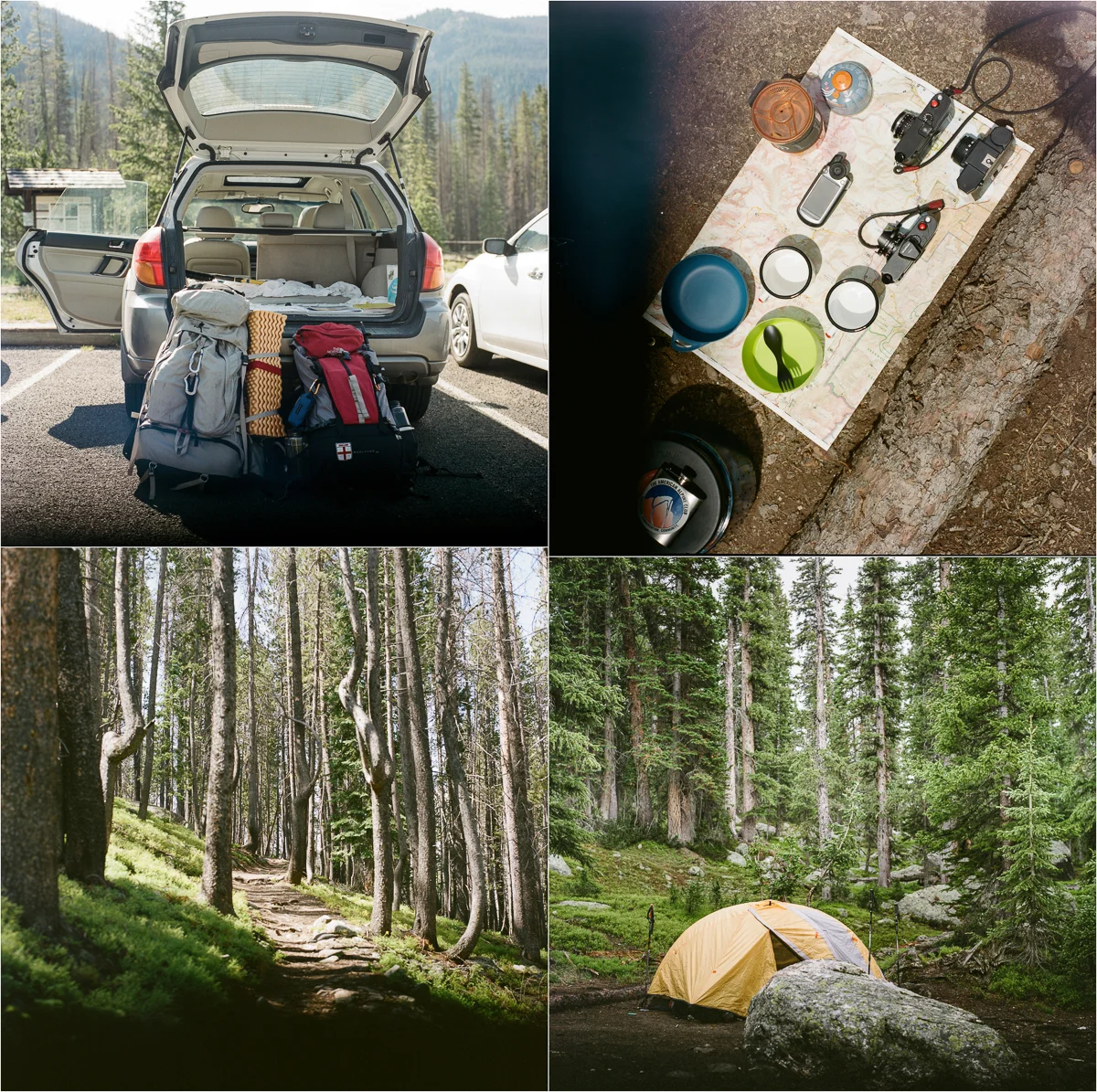 RMNPBLOG_004.jpg