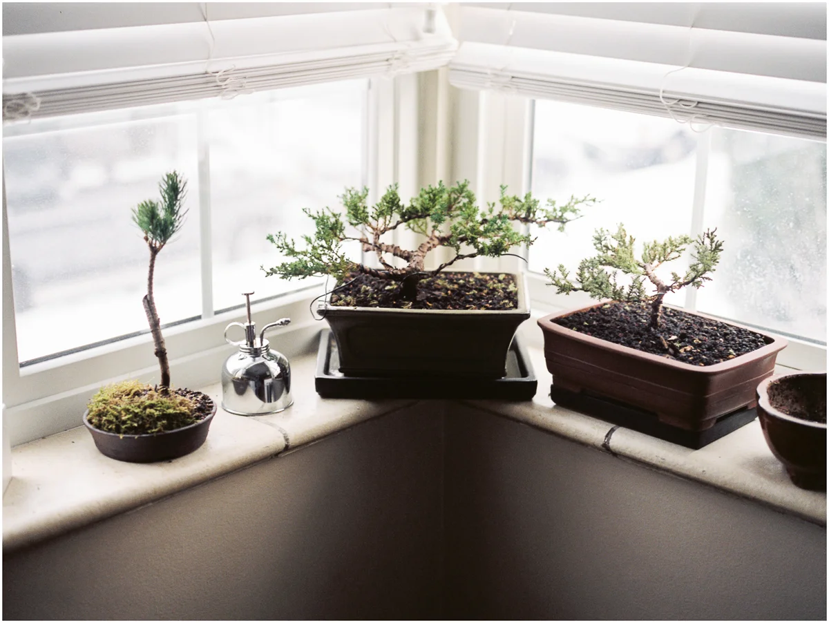 Plants_004.jpg