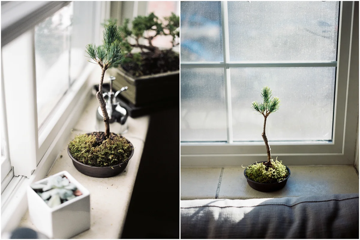 Plants_003.jpg