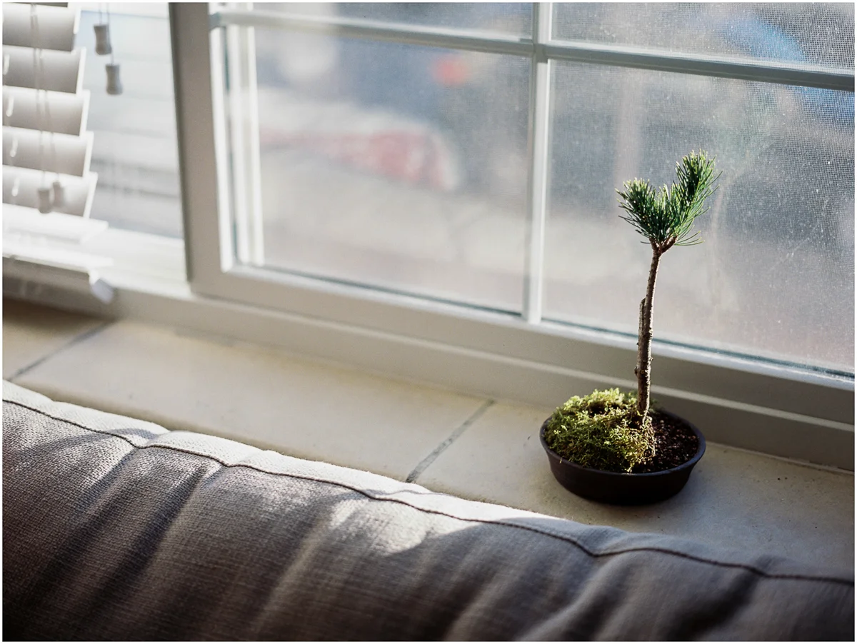 Plants_006.jpg
