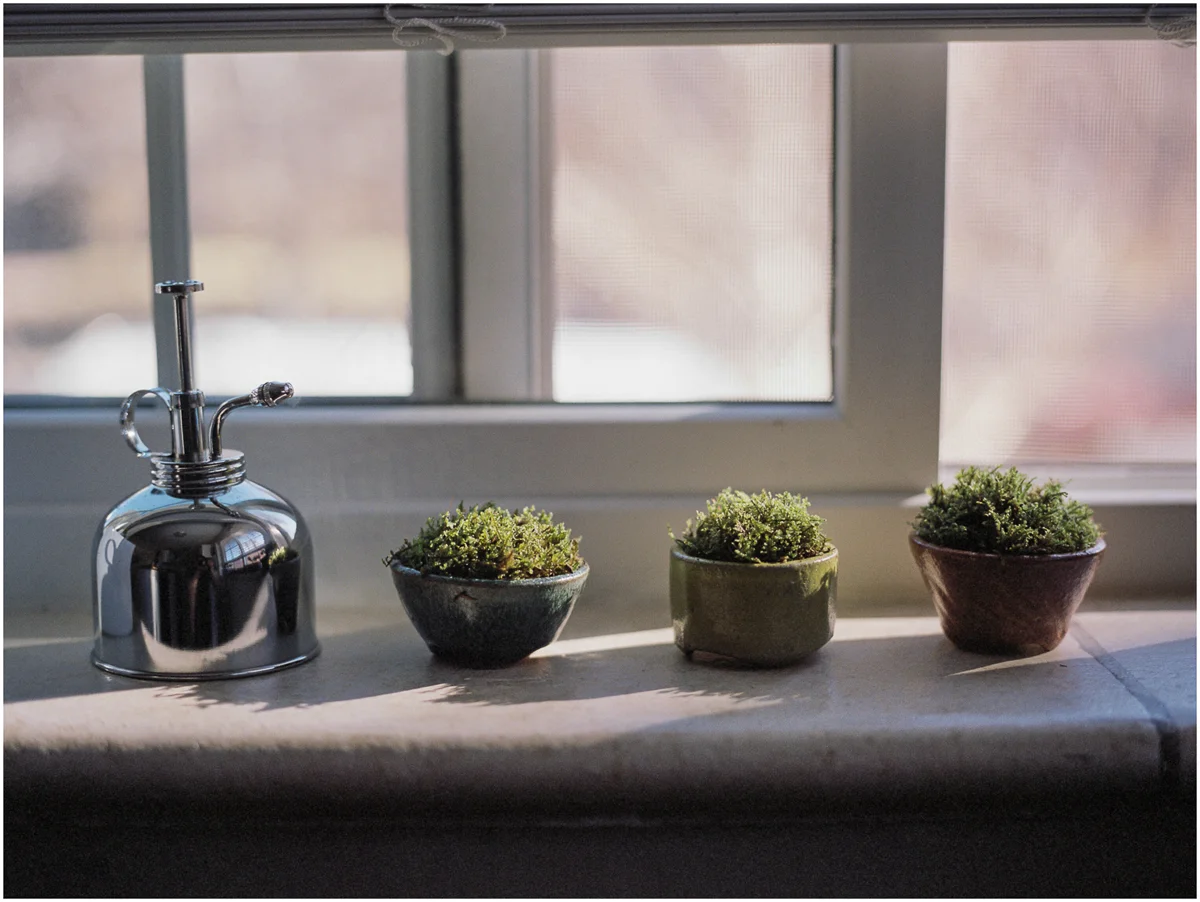 Plants_007.jpg