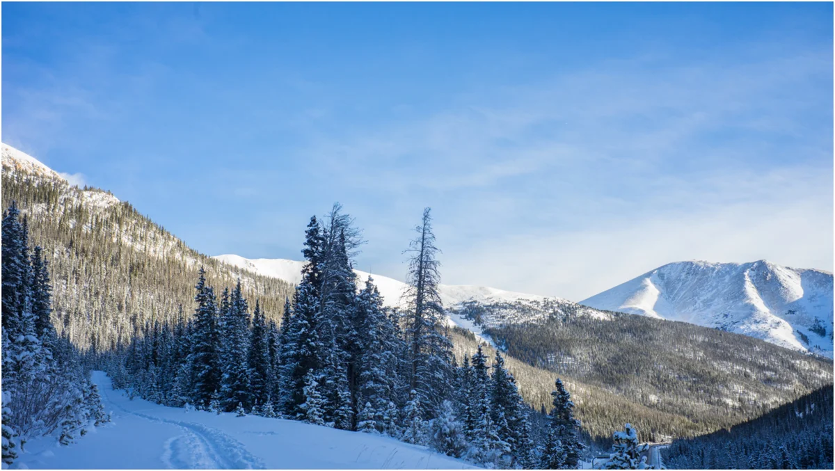 bcski_001.jpg