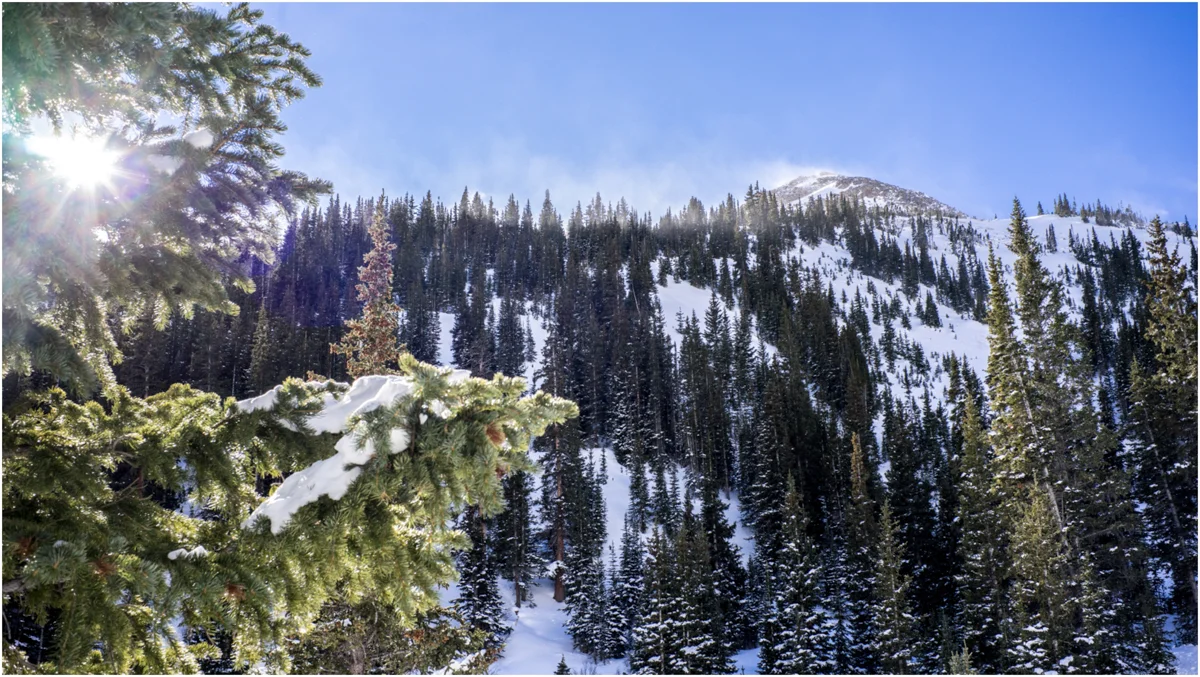 bcski_009.jpg