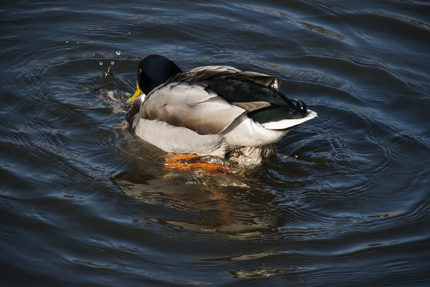 MaikelMartens_100325_IMG_2561.jpg