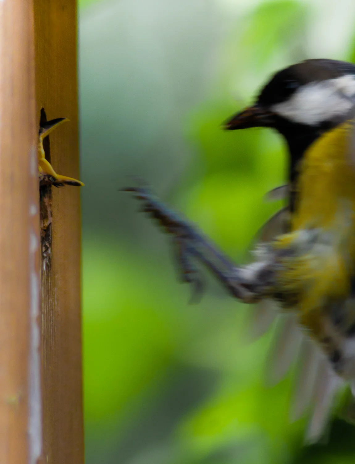 MaikelMartens_100621_IMG_2967-Edit.jpg