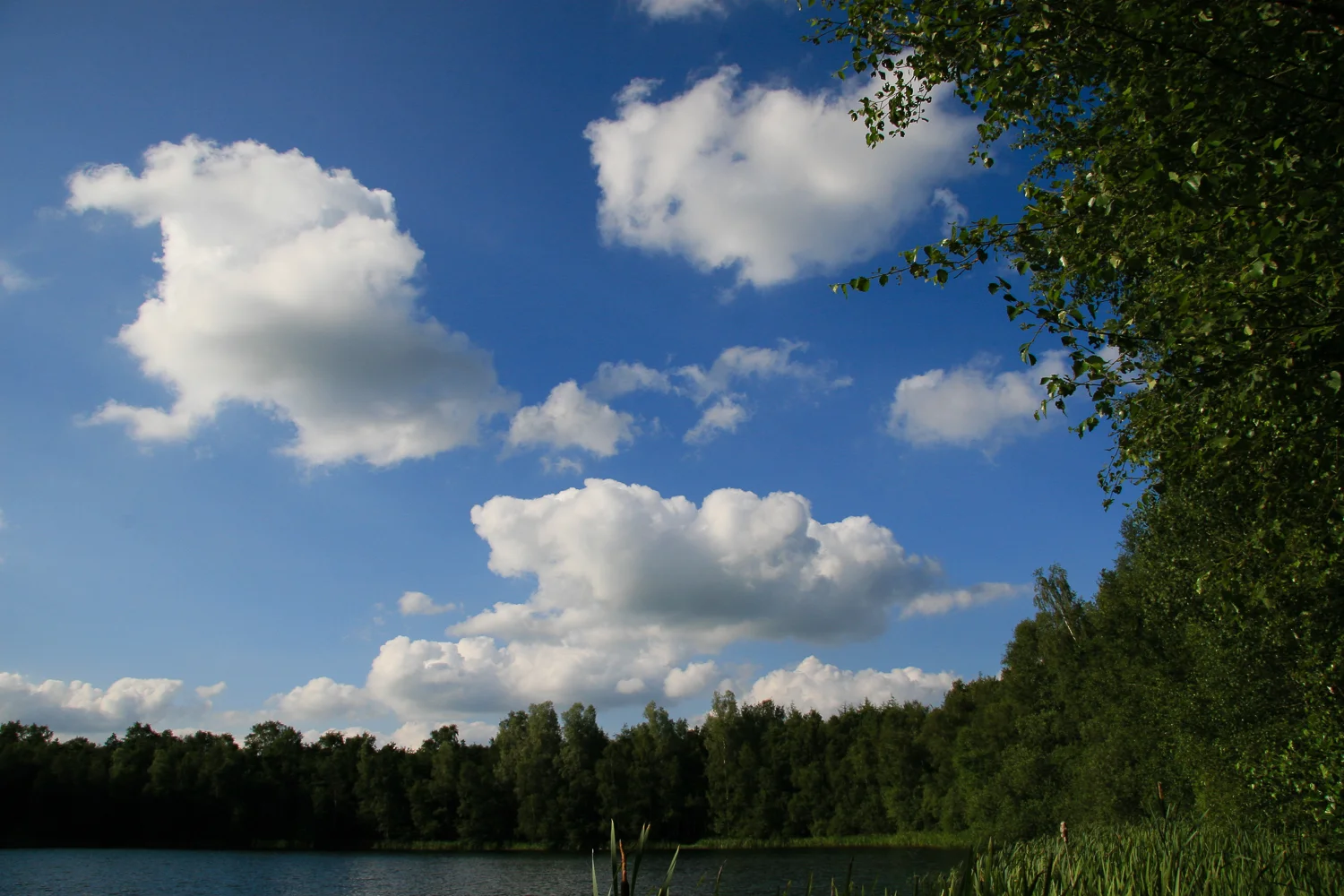 MaikelMartens_060711_IMG_3269.jpg