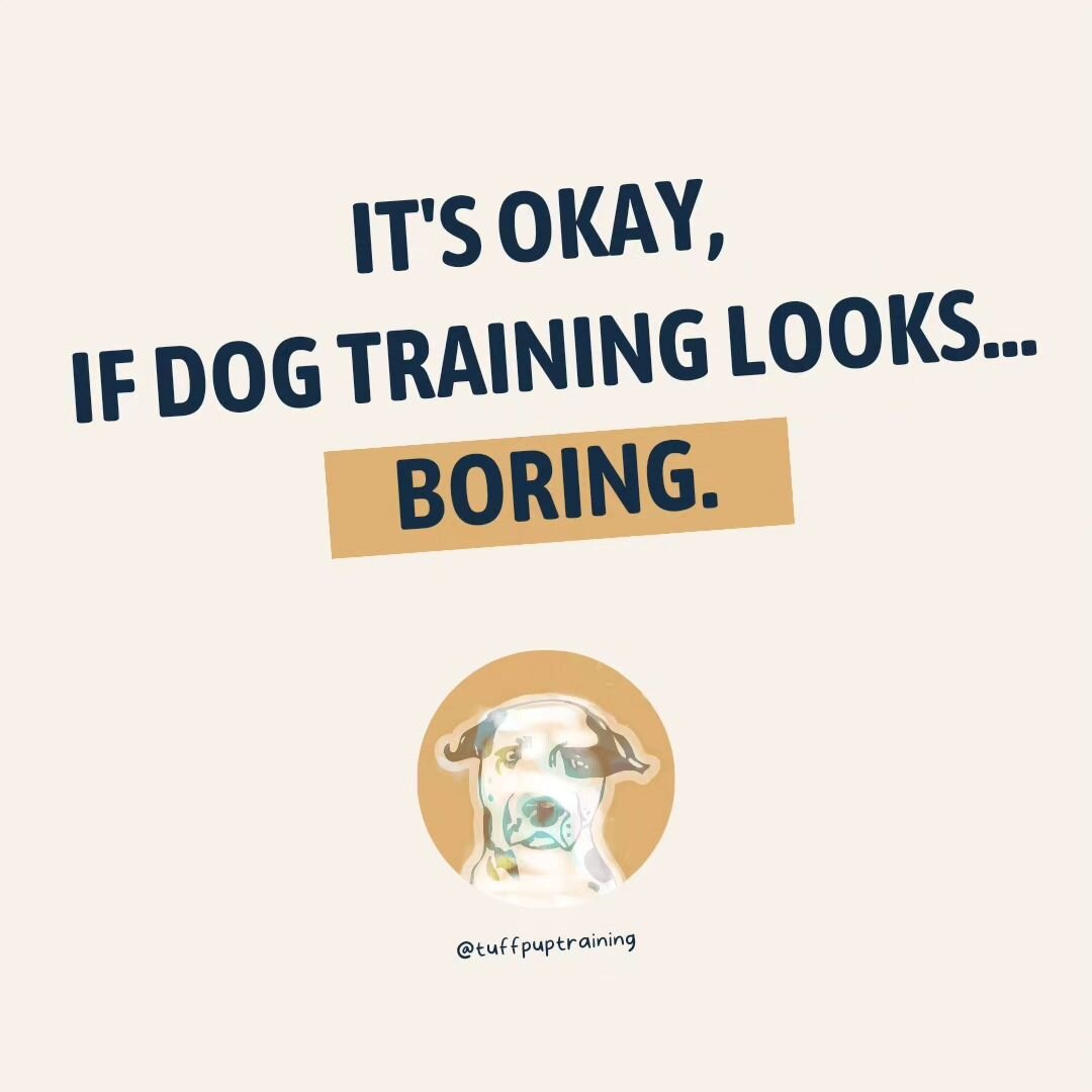 Sometimes dog training looks unremarkable. Maybe that's a good thing. 
.
.
.
#DogTrainingPhilly #PositivePupPhilly
#PhillyDogTrainer  #PawsitiveReinforcement
#PhillyPetTraining #PhillyFriends #PositivePhillyPets #ClickerTrainingPhilly #PhillyCanineCo