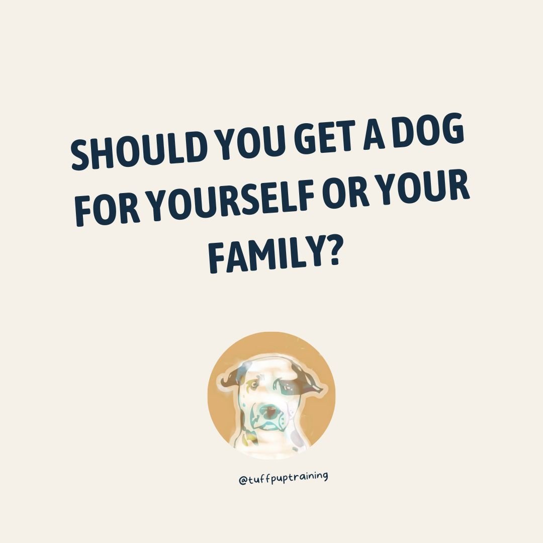 Should You Get A Dog - IG post.jpg