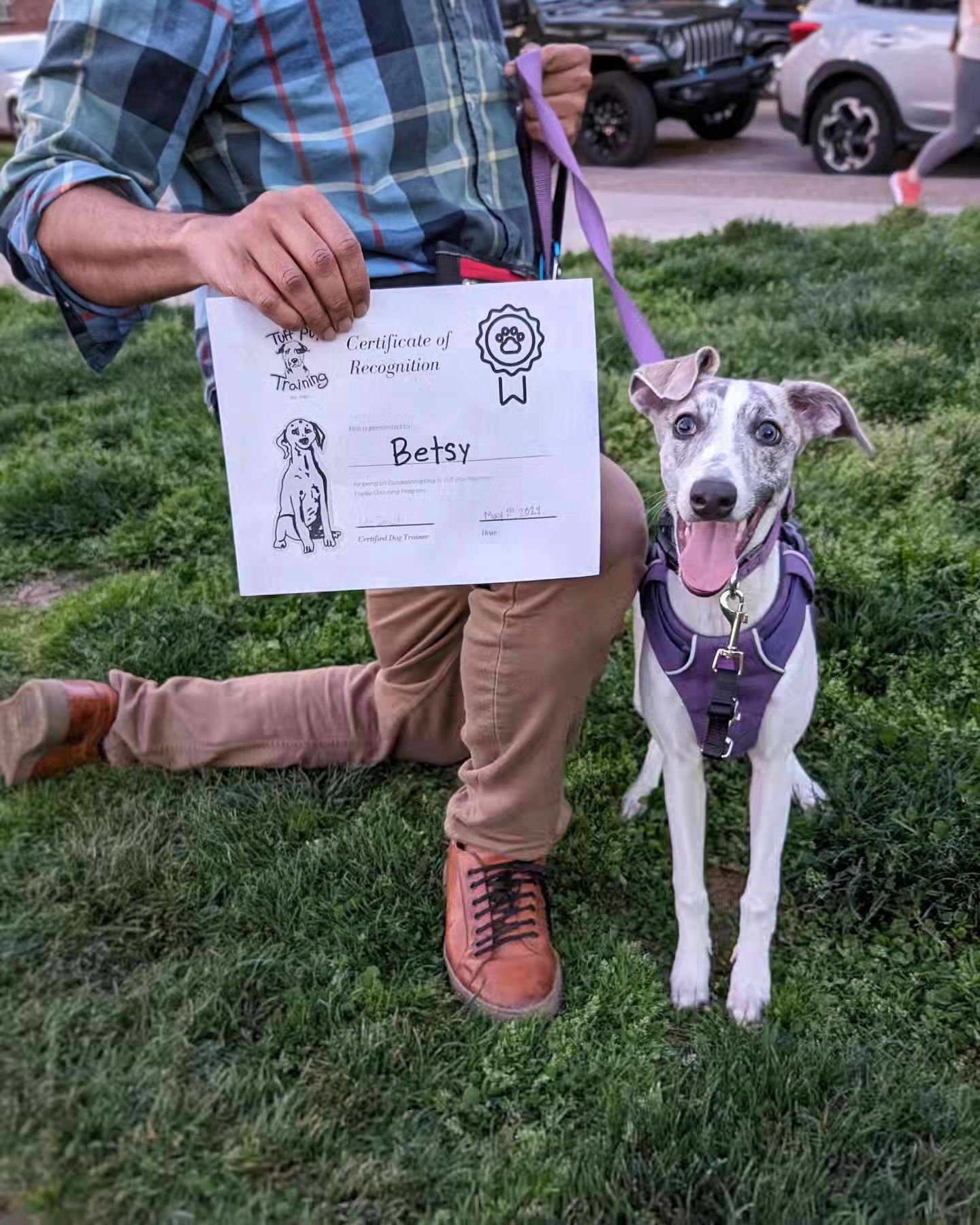 Betsy graduated! 🎓
.
.
.
#dogtra#dogtrainersig #dogtraining #dogs #philly #phillydogs #phillypups #dogsofphilly #clickertraining #cute #woof #215dogs