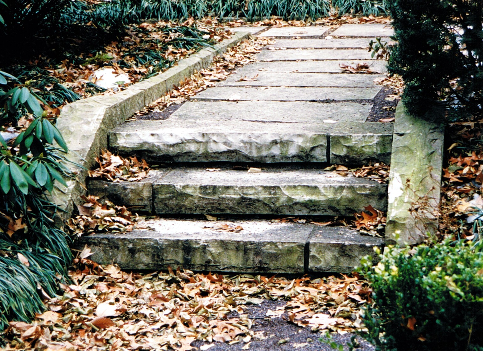 Steps Stone Maritz 02.jpg