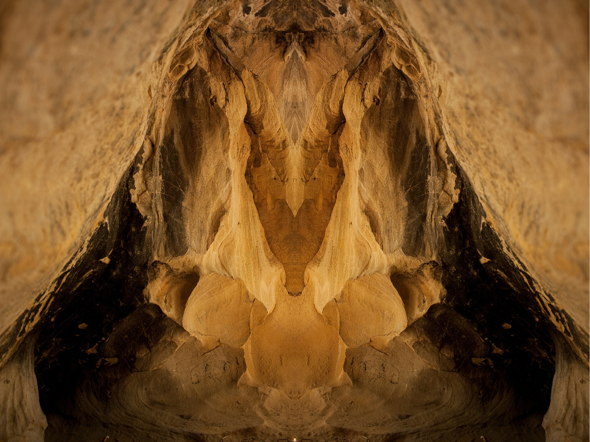Portrait of a Cave