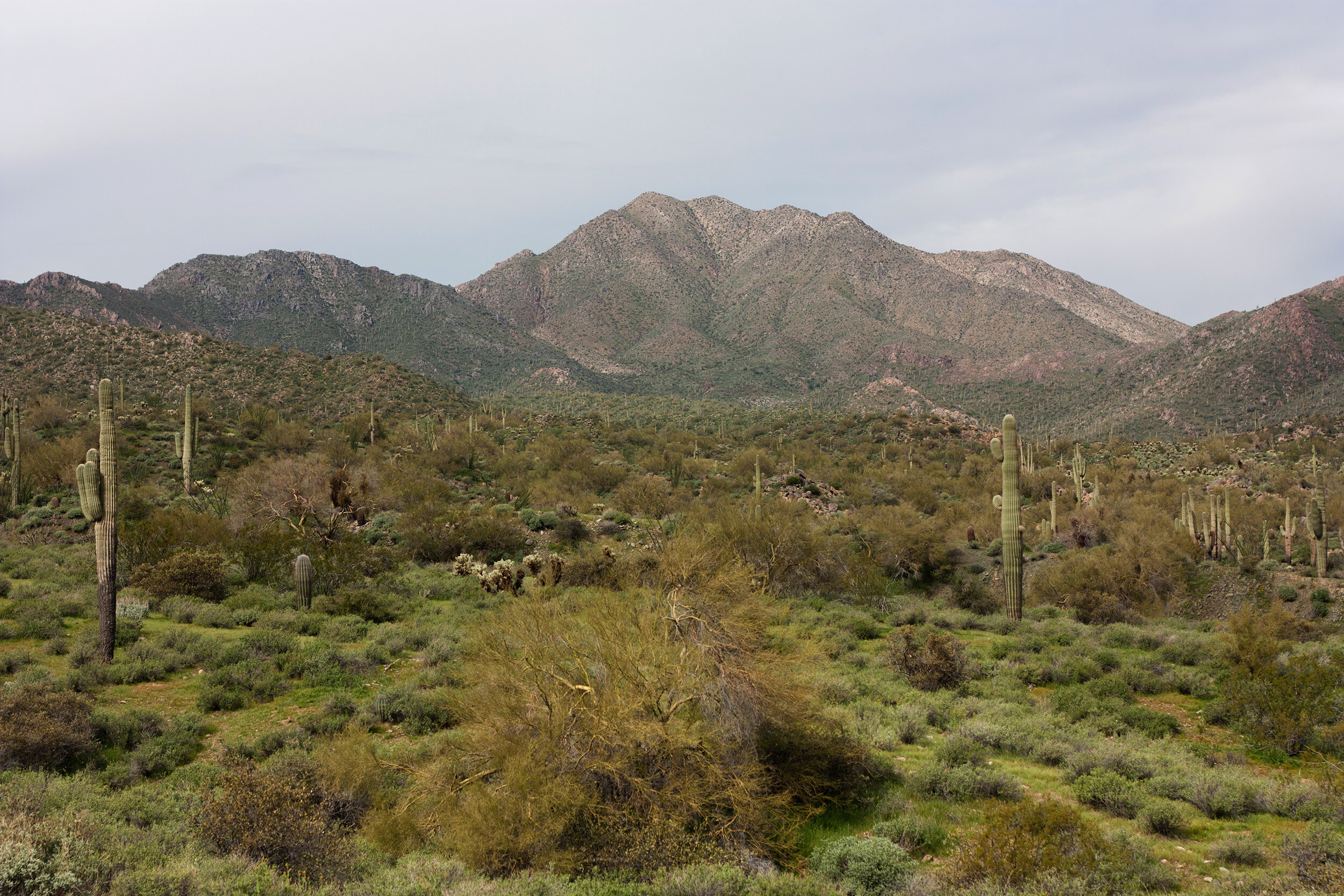 Perceptions of Distance - Caryn Sandoval - Arizona and Beyond.jpg