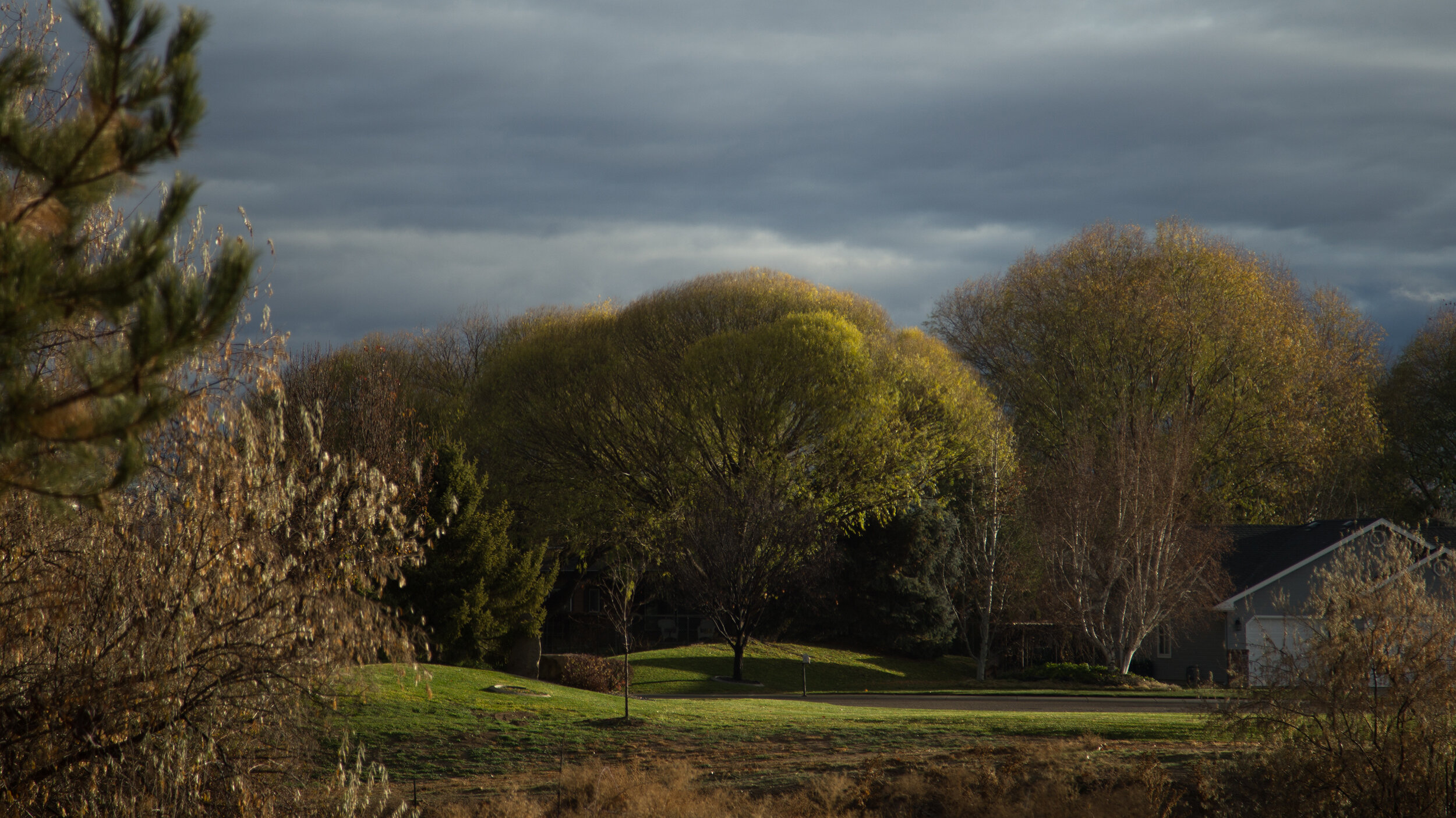 Perceptions of Distance - Caryn Sandoval - Idahoan Backyard.jpg